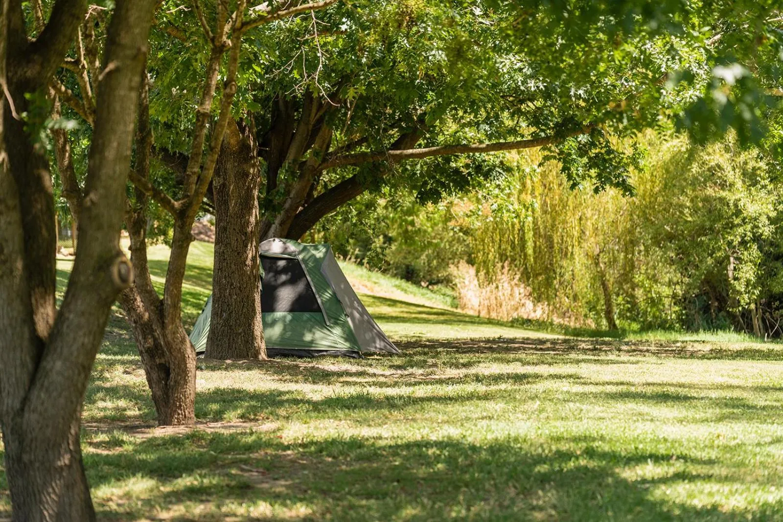 Garden in Gundagai Cabins & Tourist Park