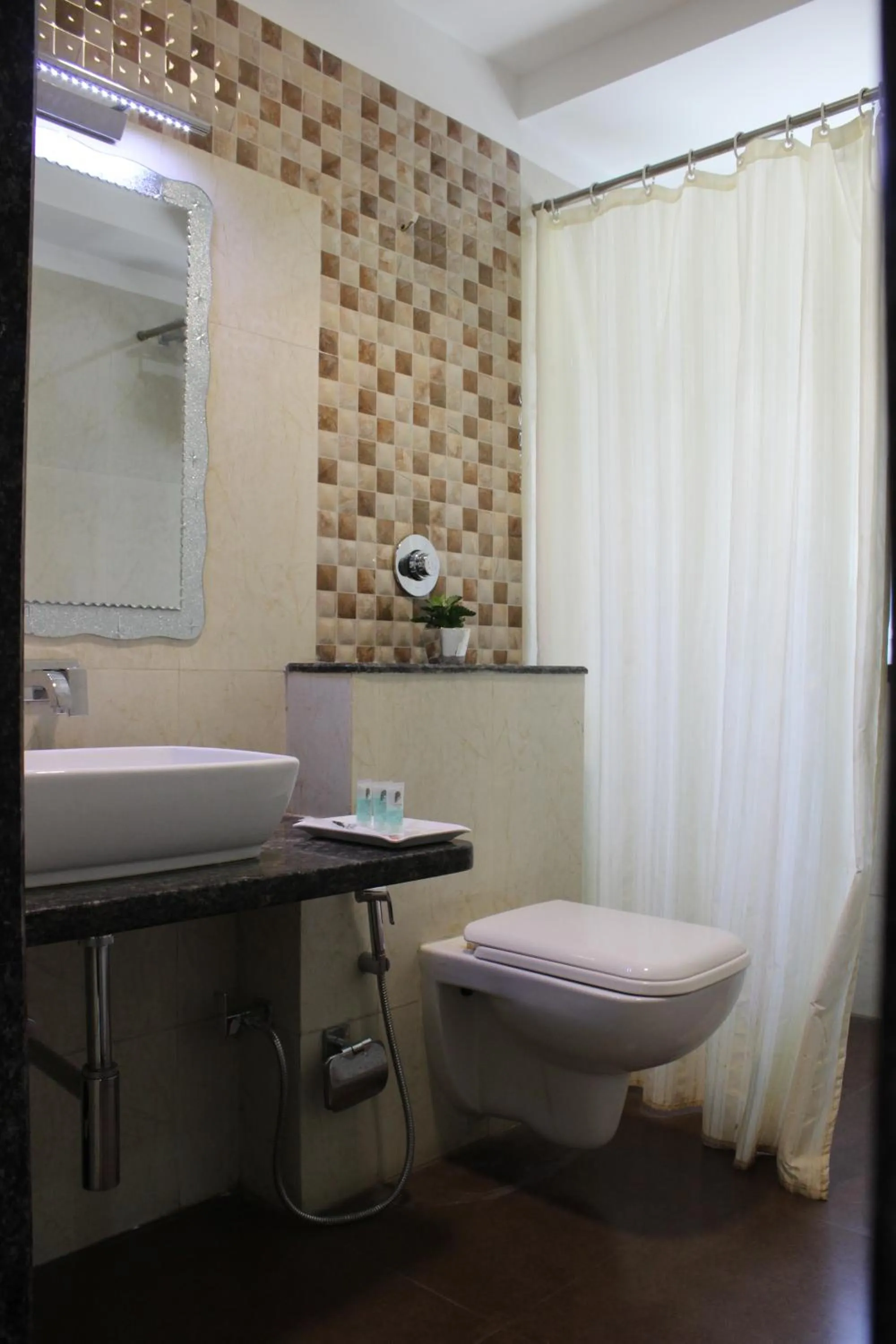 Toilet in Krishna Inn