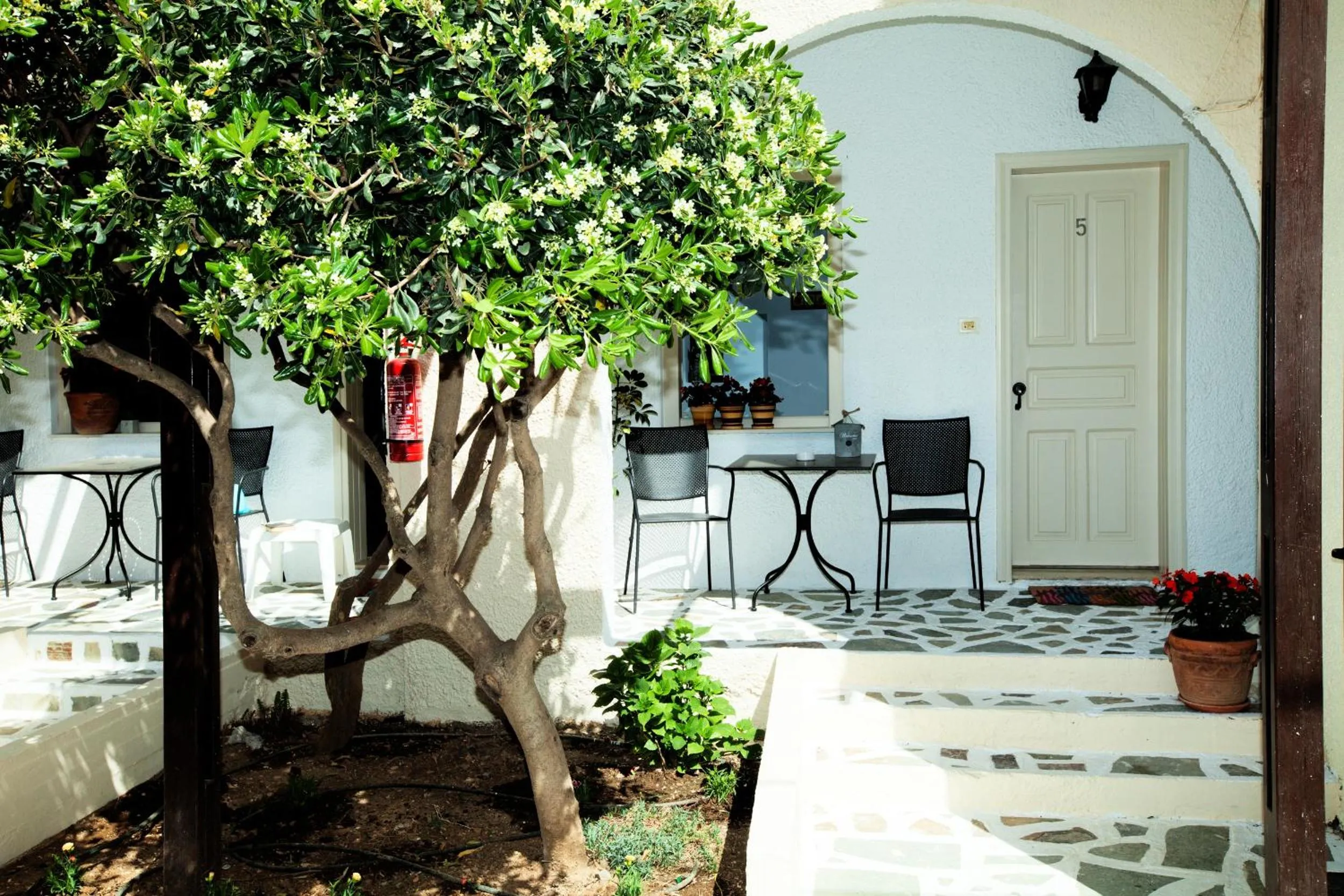 Facade/entrance in Alkionides Seaside Hotel