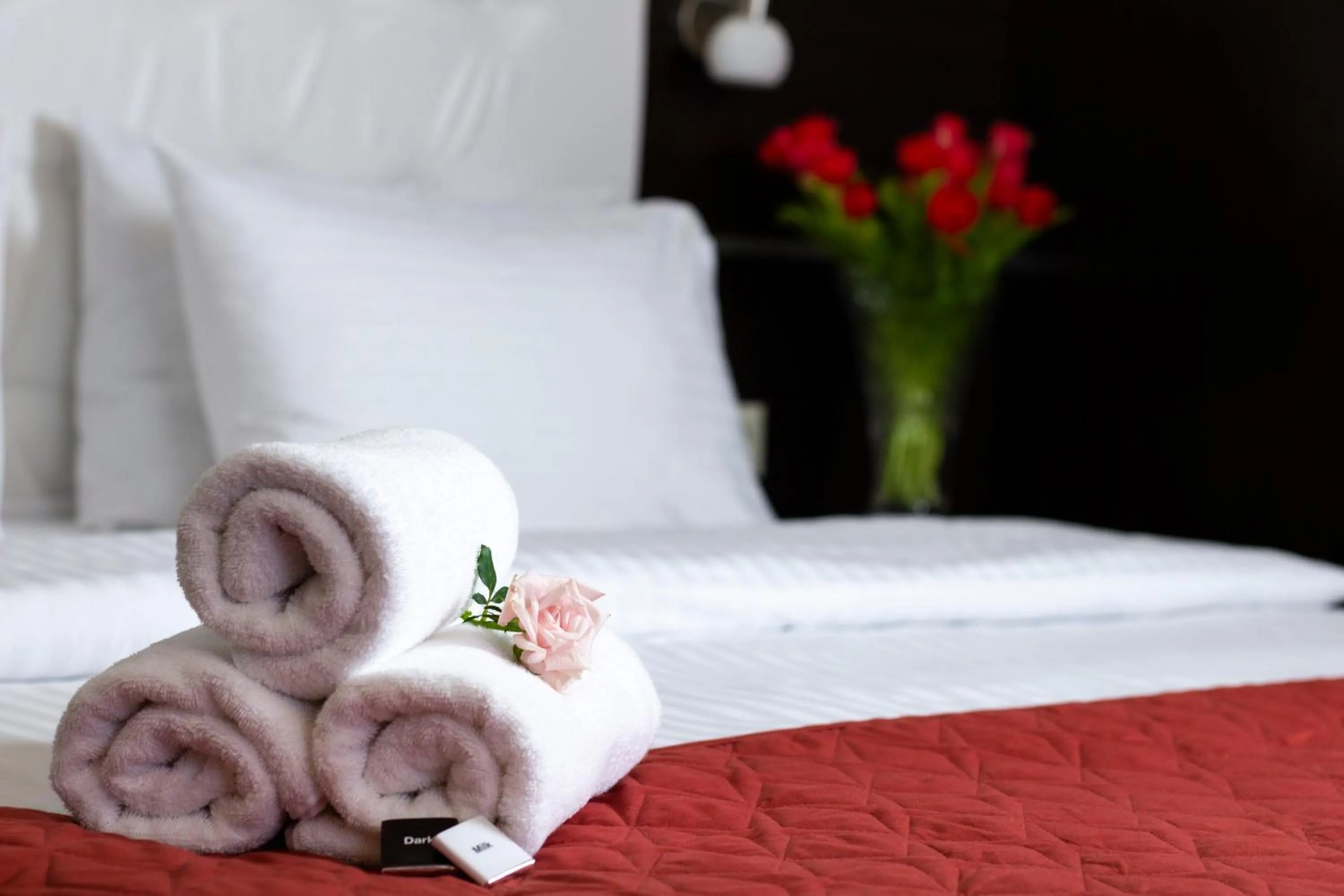 Bed in Kiev 365 Park Hotel