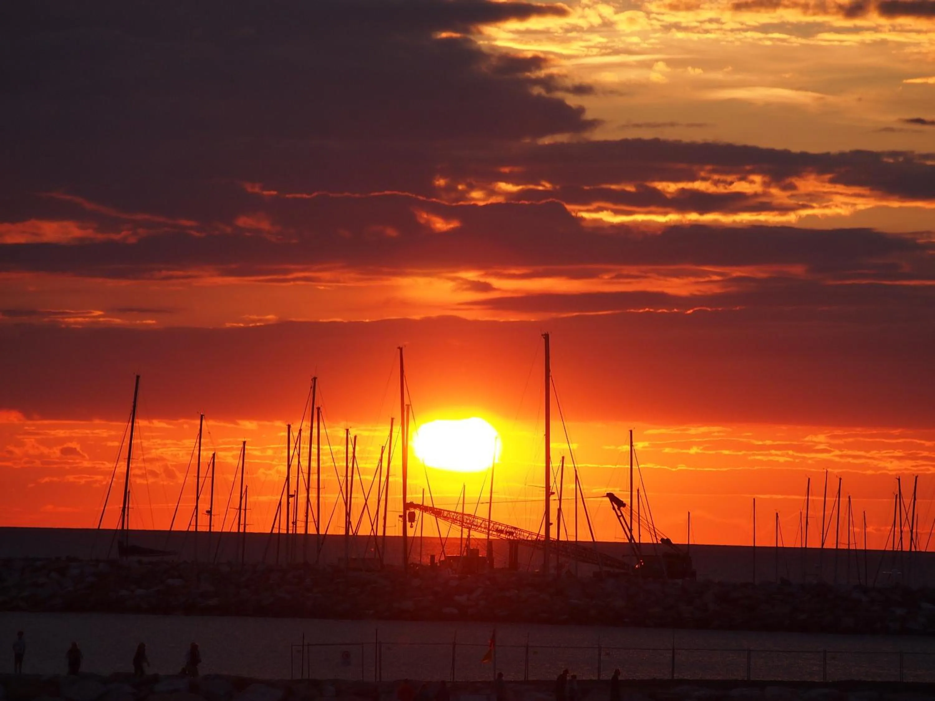 View (from property/room) in Hotel Aurora