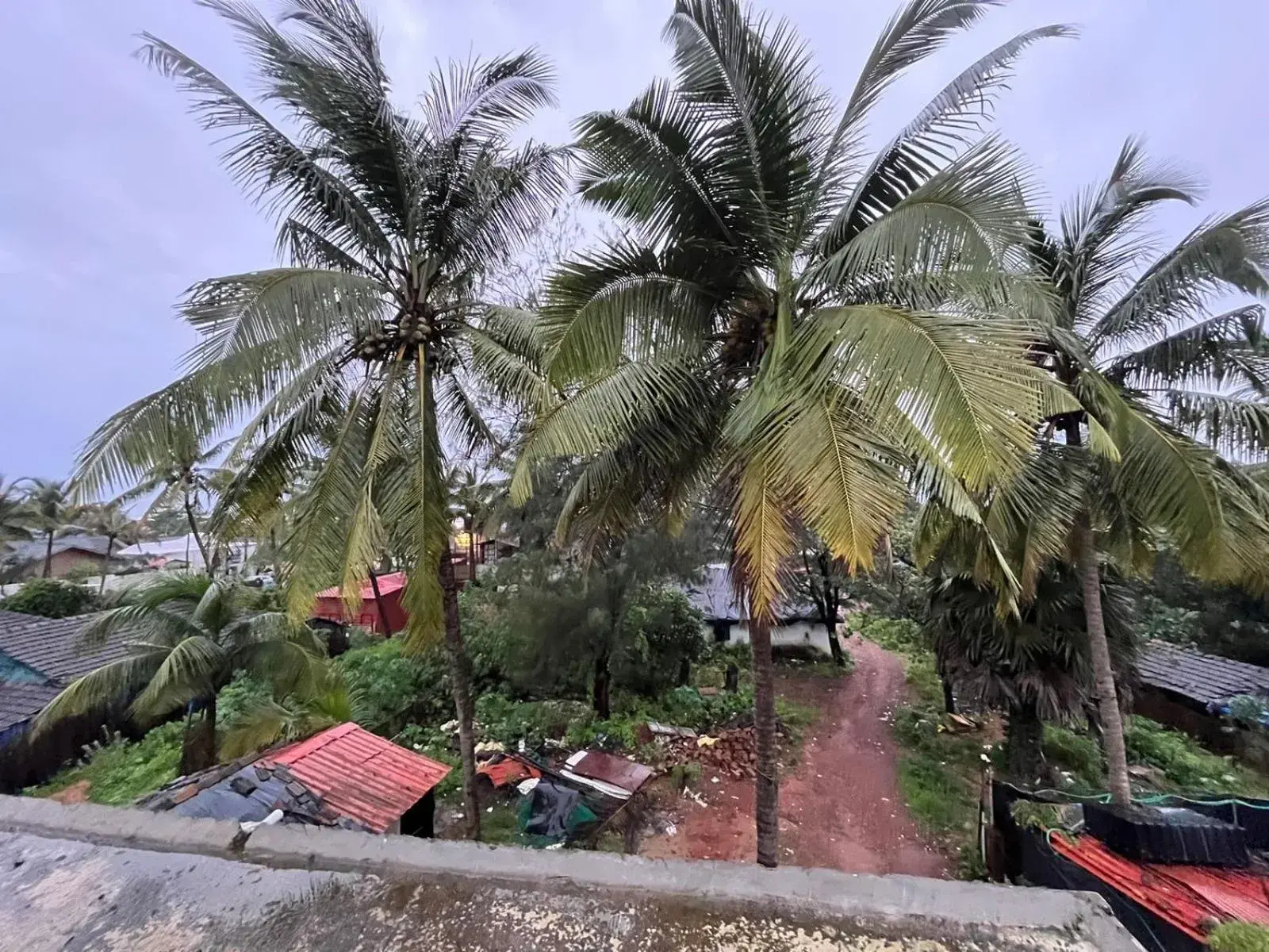 Day in Hotel Saffron Baga Day in Hotel Saffron Baga