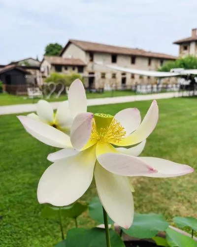 Agriturismo il Vagabondo