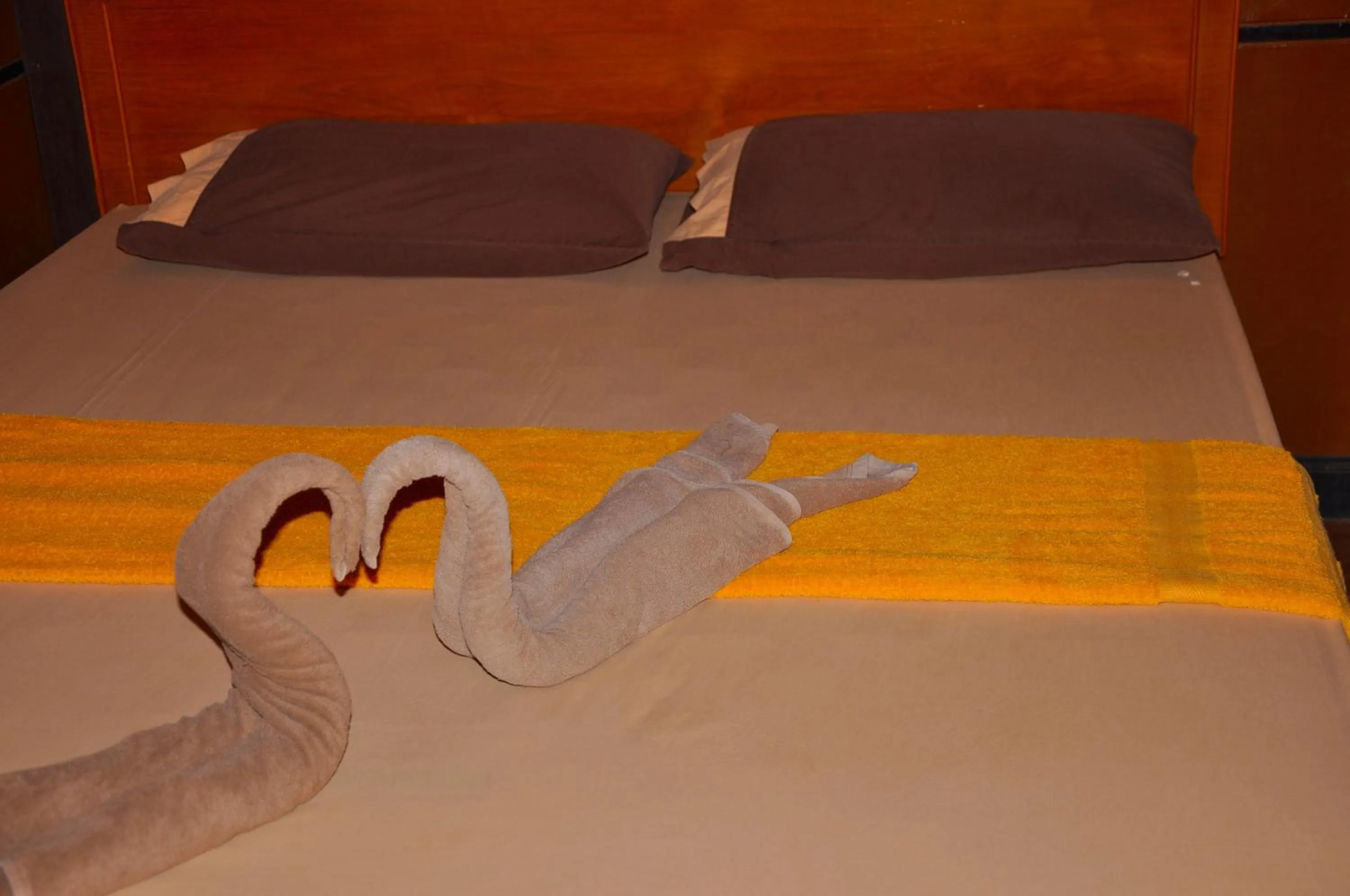 Bedroom, Bed in Coral Bungalows