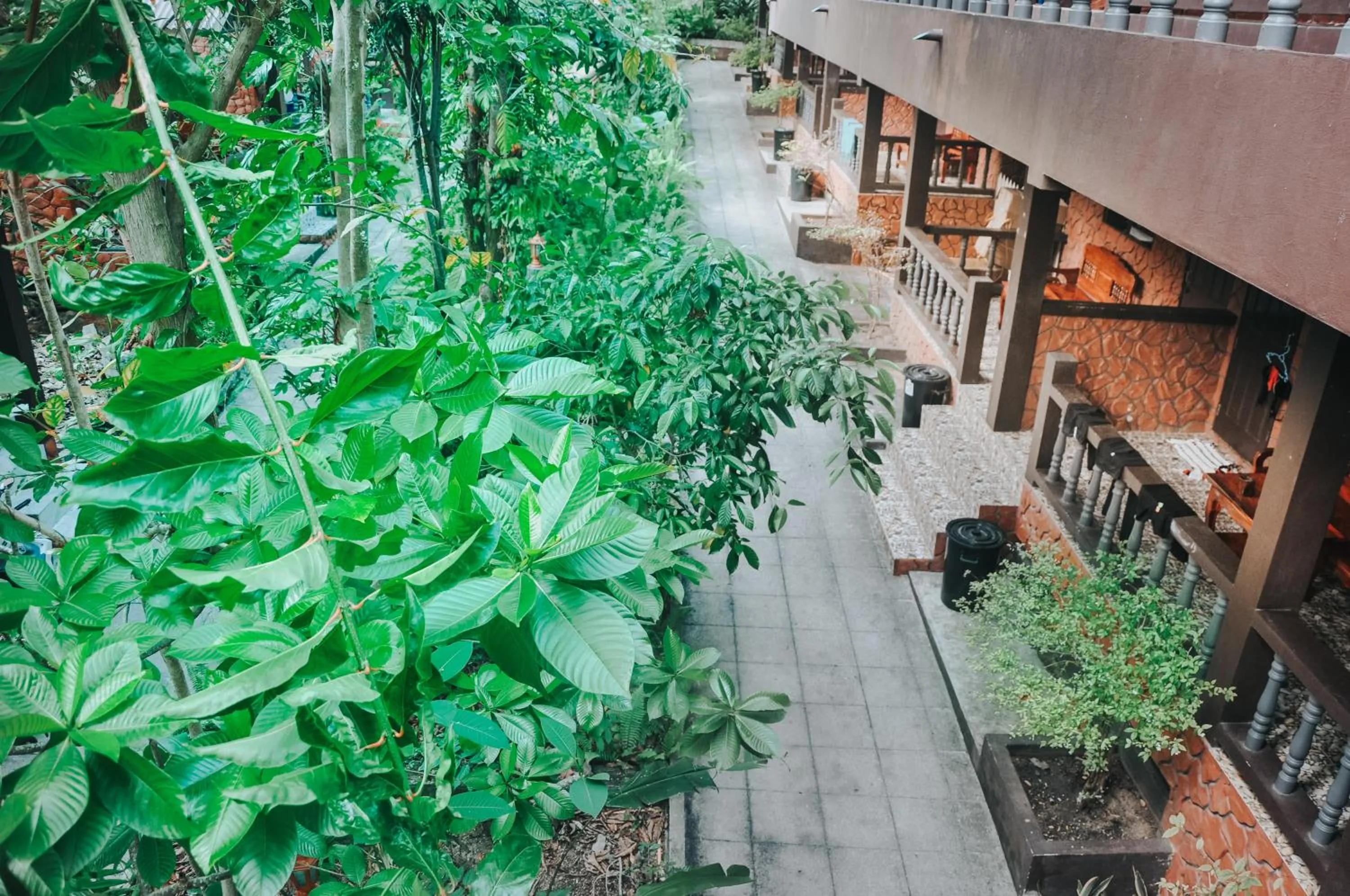 Balcony/Terrace in Coral Bungalows