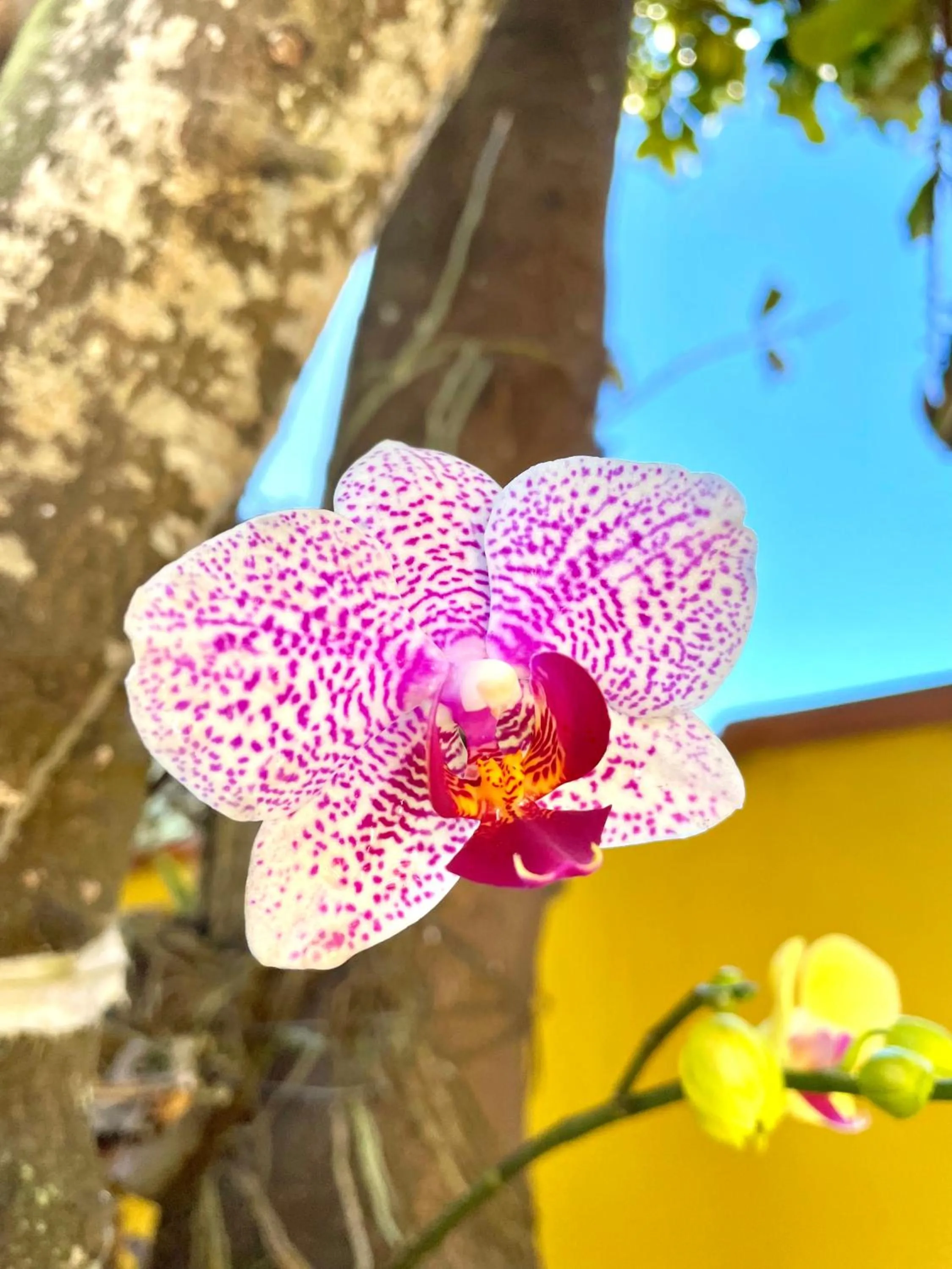 Day in Pousada Toca dos Coelhos