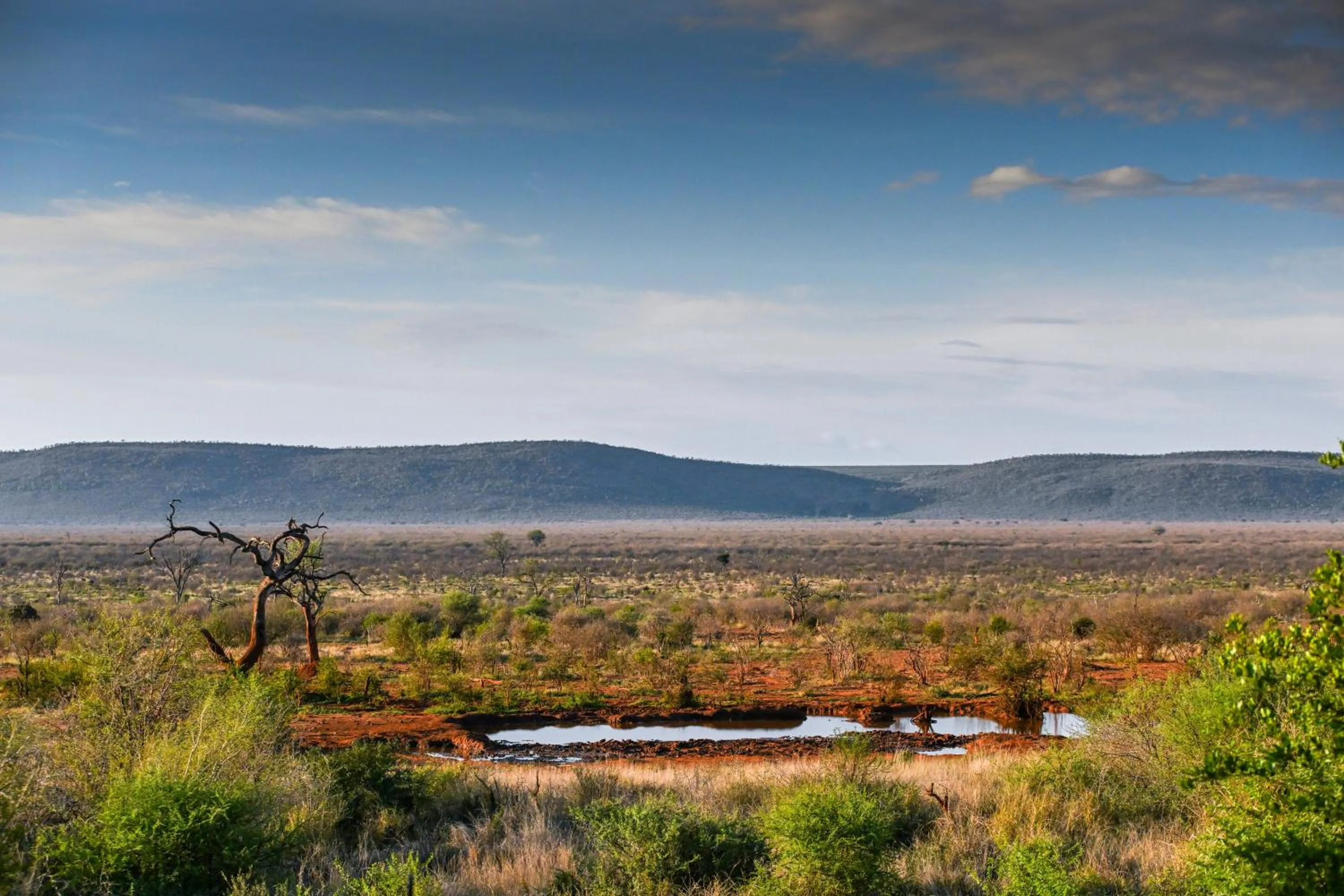 Day in Madikwe Safari Lodge