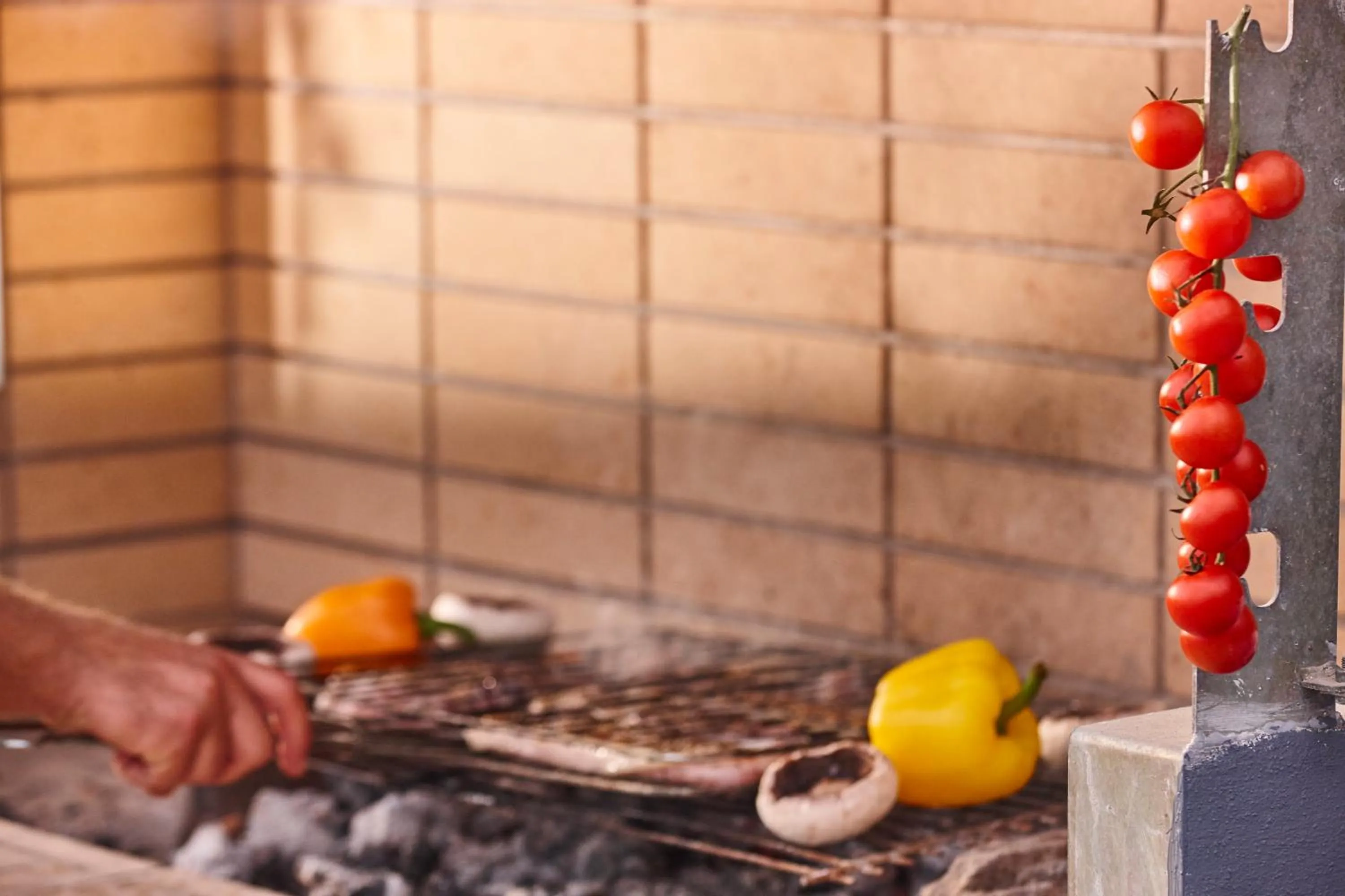 BBQ facilities in Villa Agrikoia