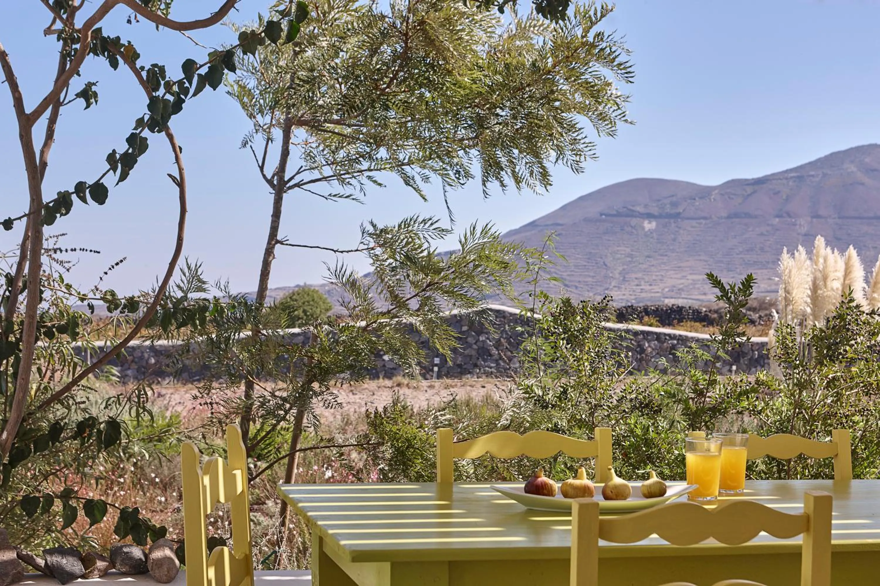 Balcony/Terrace in Villa Agrikoia