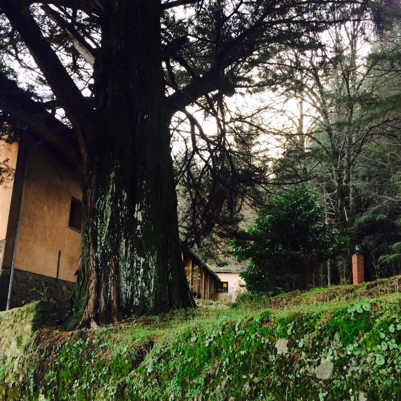 Natural landscape in Hotel rural El Jardin del Conde