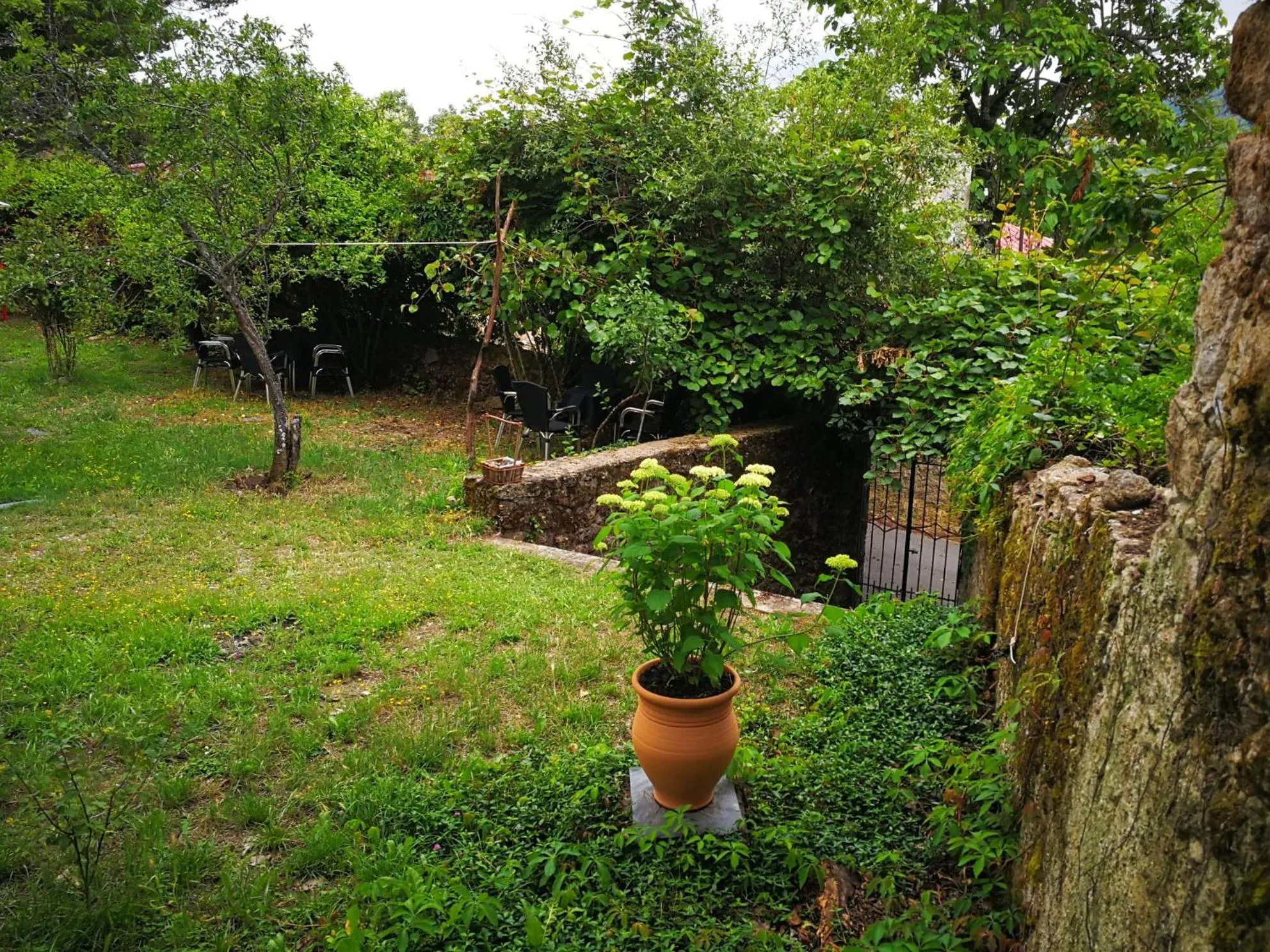Garden in Hotel rural El Jardin del Conde