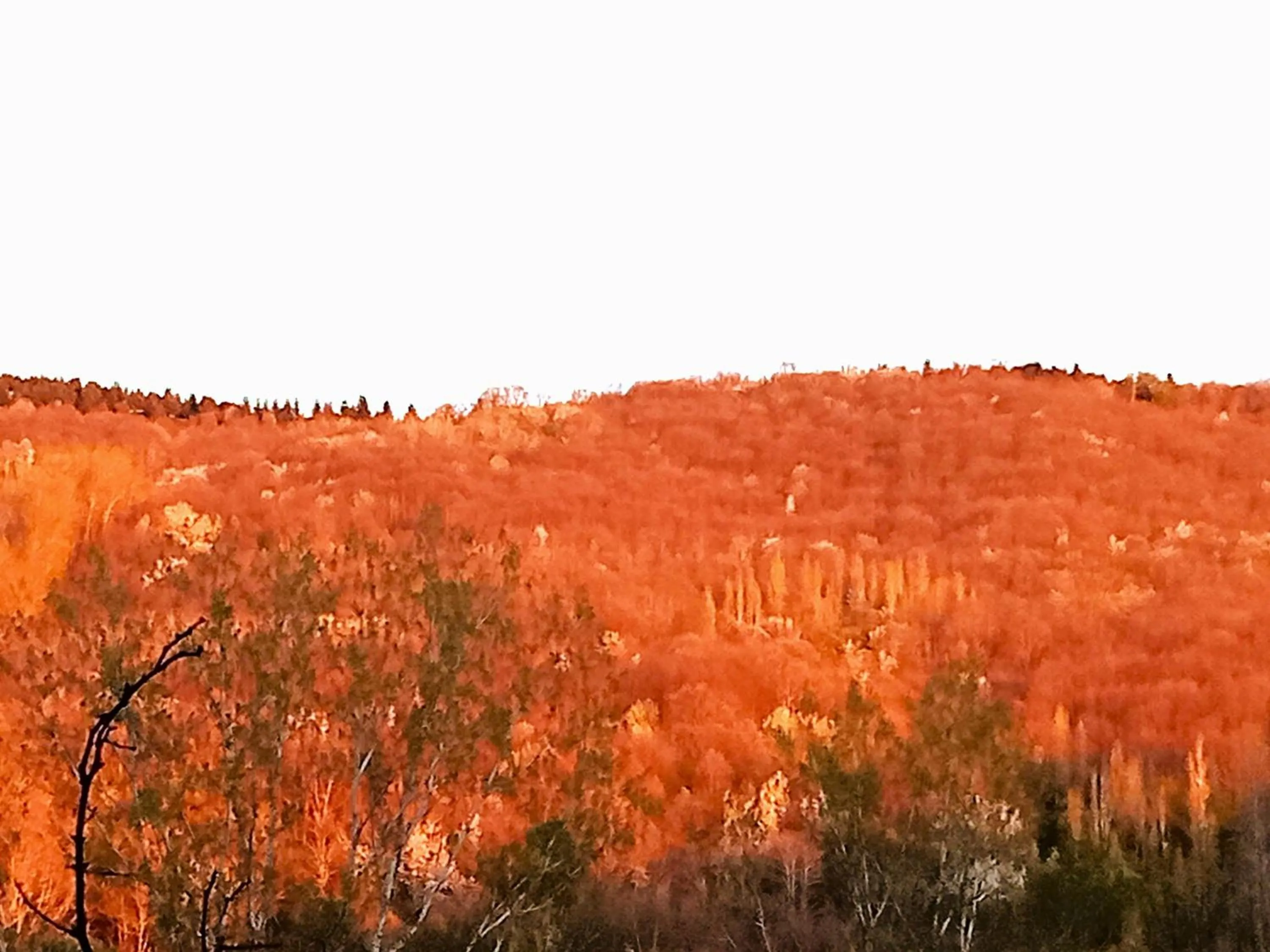 Natural landscape in Hotel rural El Jardin del Conde