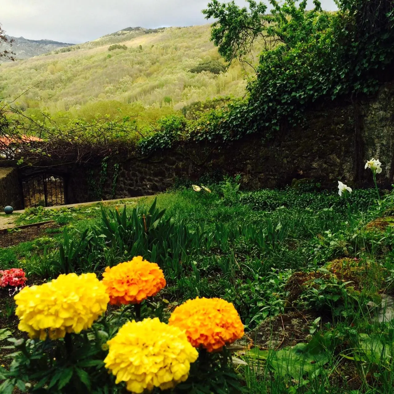 Day in Hotel rural El Jardin del Conde