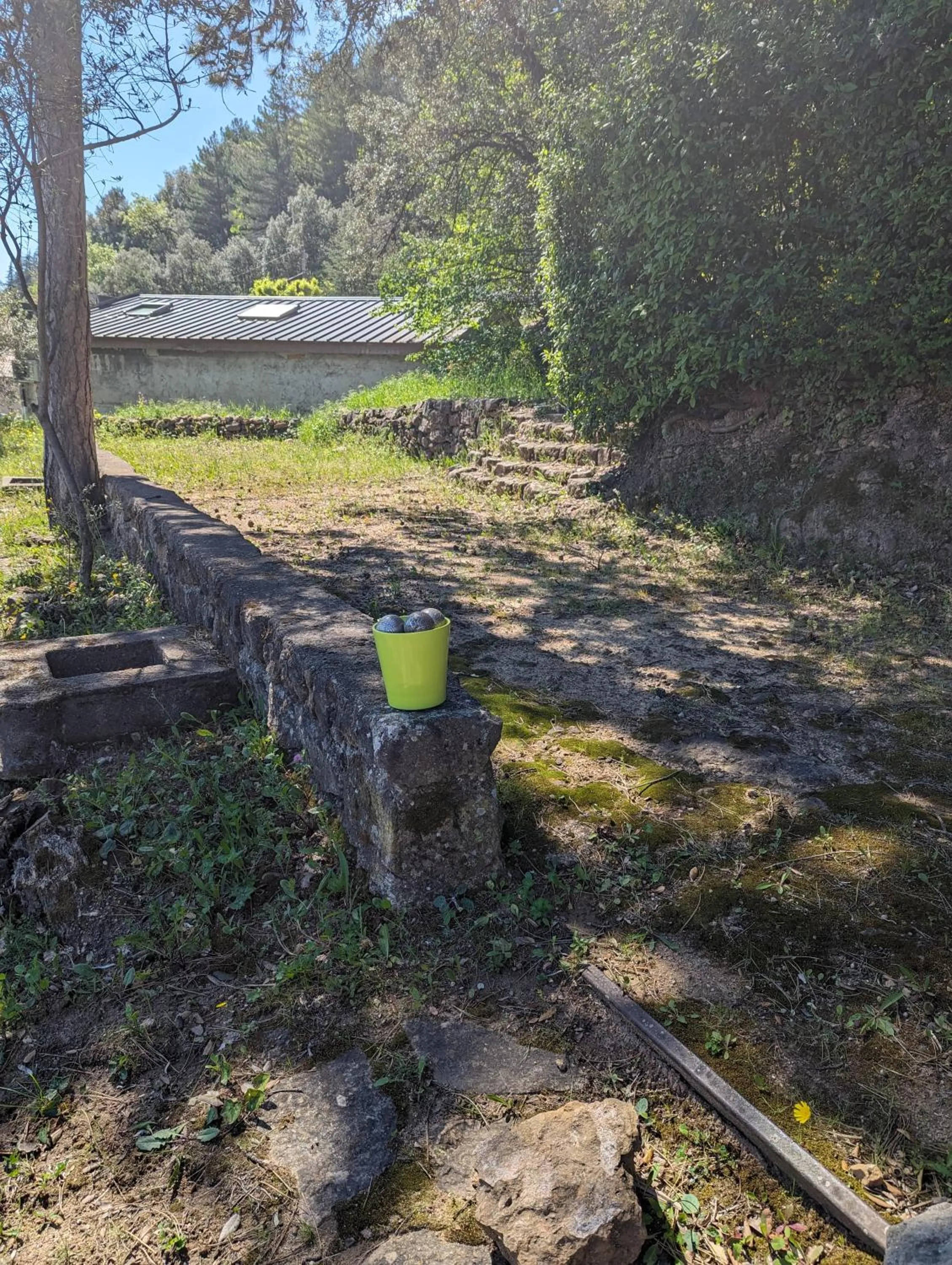 Natural landscape in Auberge Des Pins