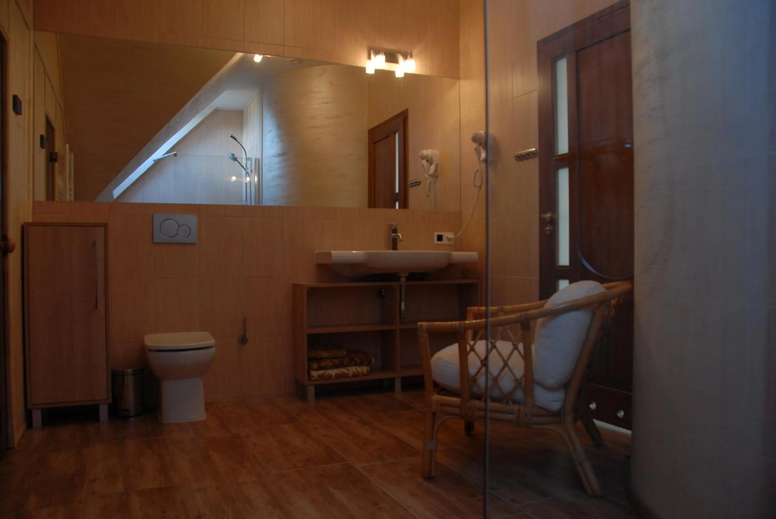 Toilet in Apartament Ostoja z sauną