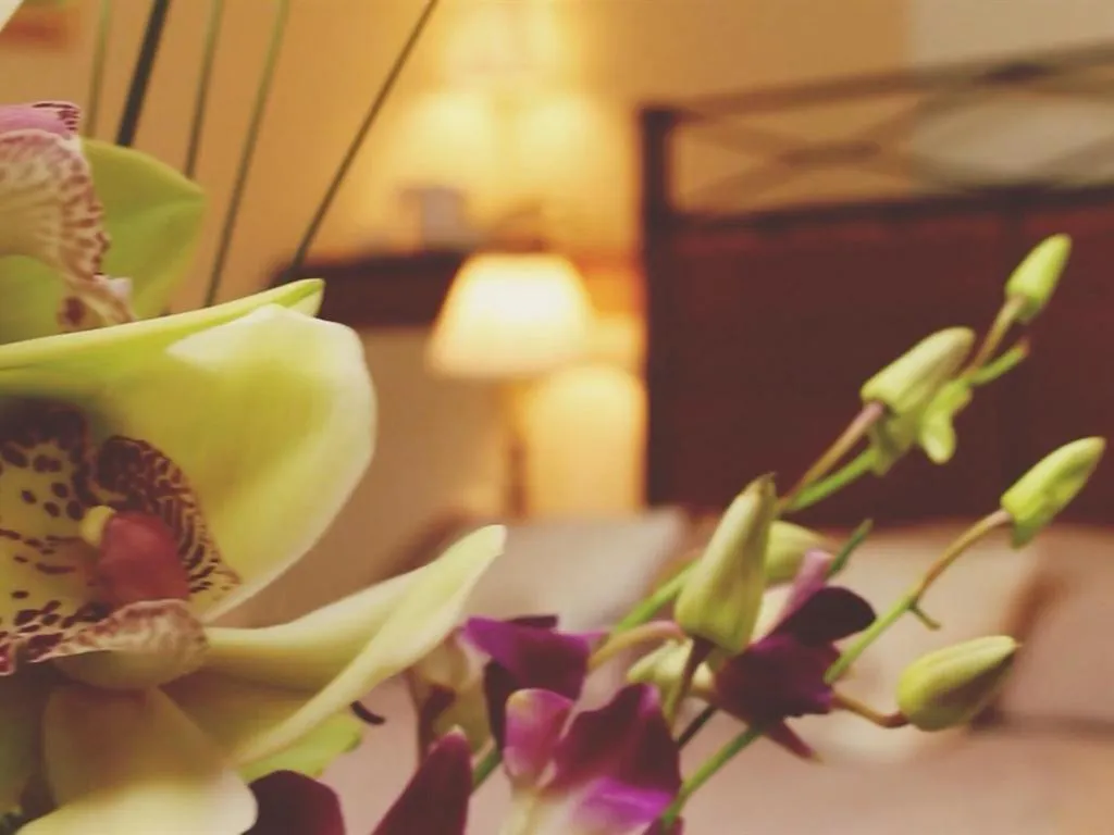 Other, Bed in The Limes