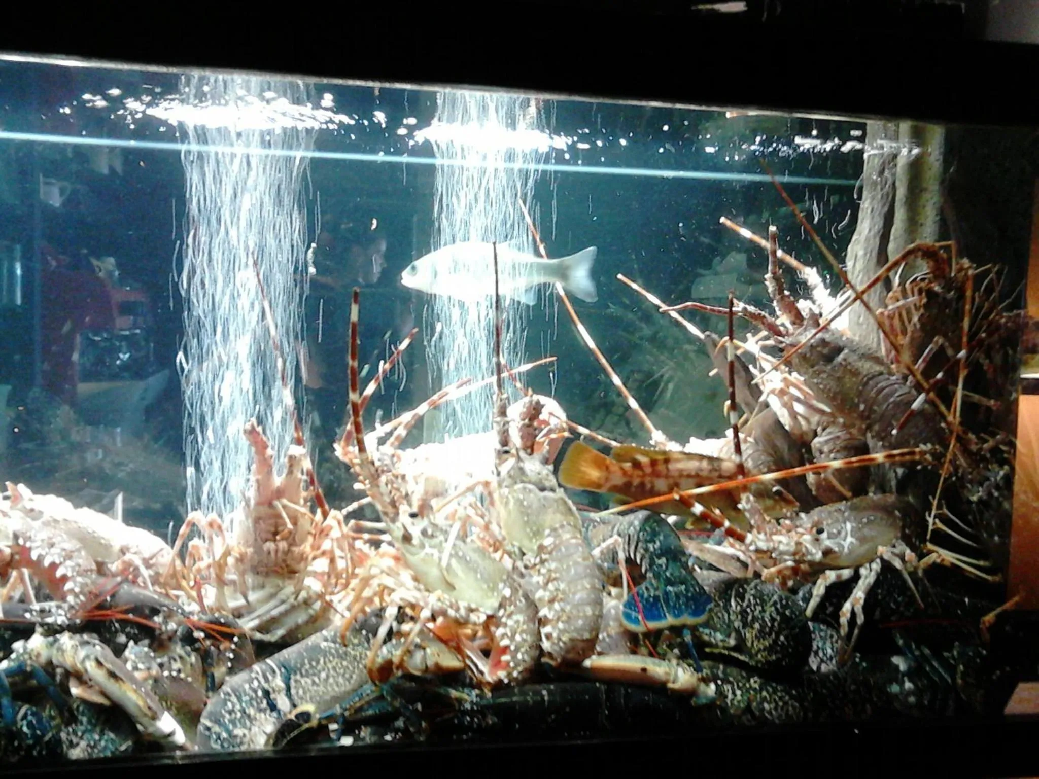 Other in Logis Hôtel de France - Face à la Mer