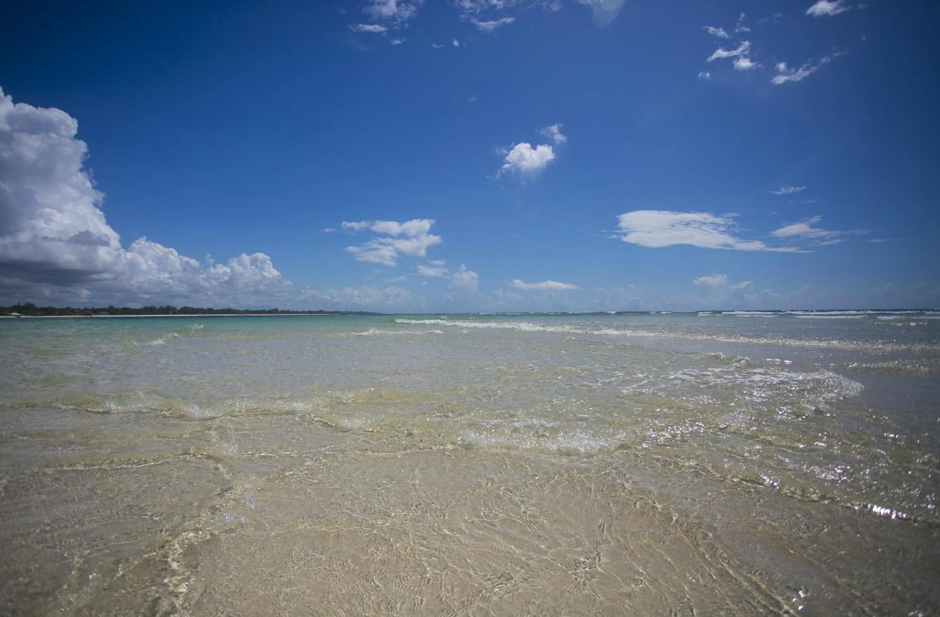 Beach in Diani Sea Resort - All Inclusive
