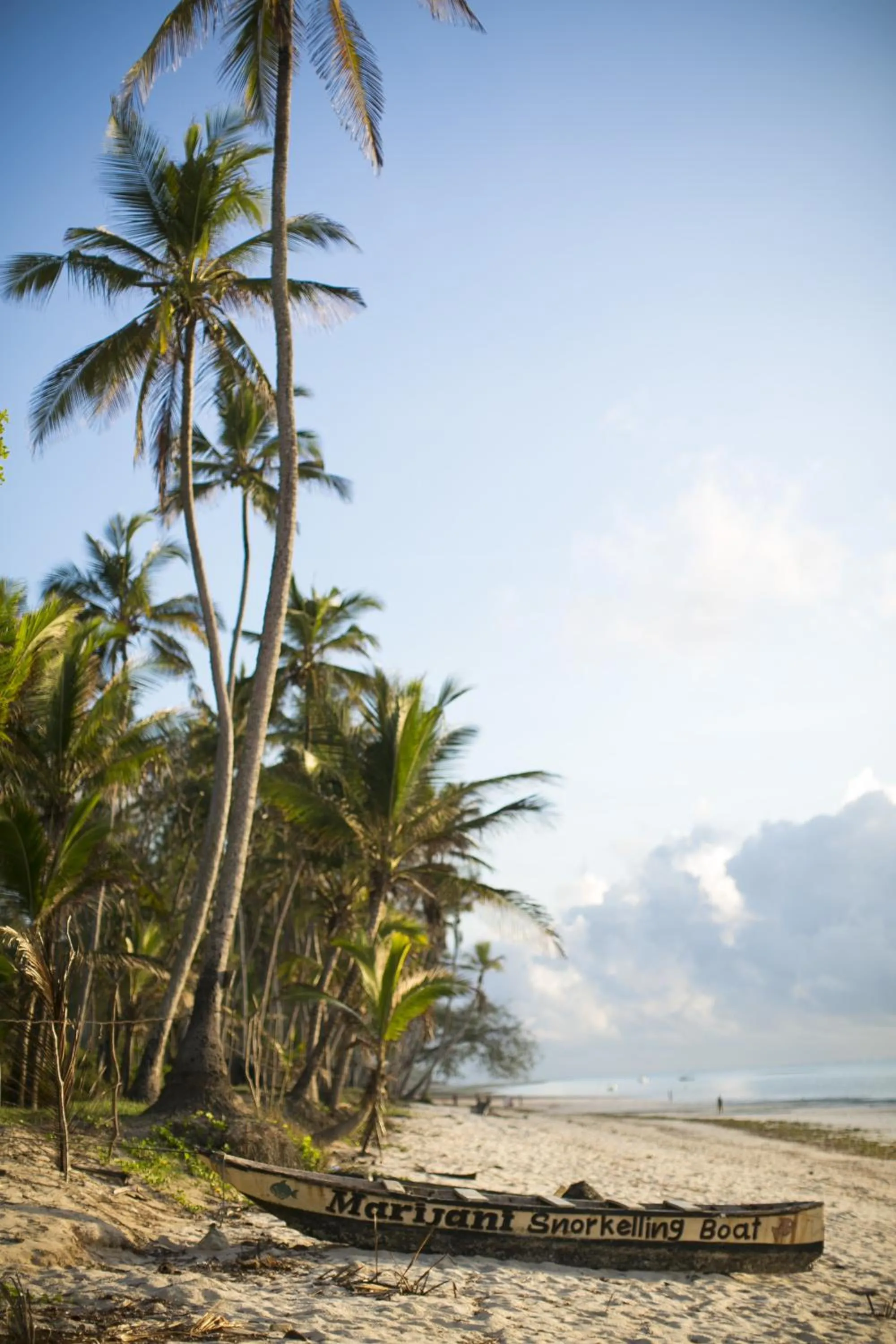Beach in Diani Sea Resort - All Inclusive