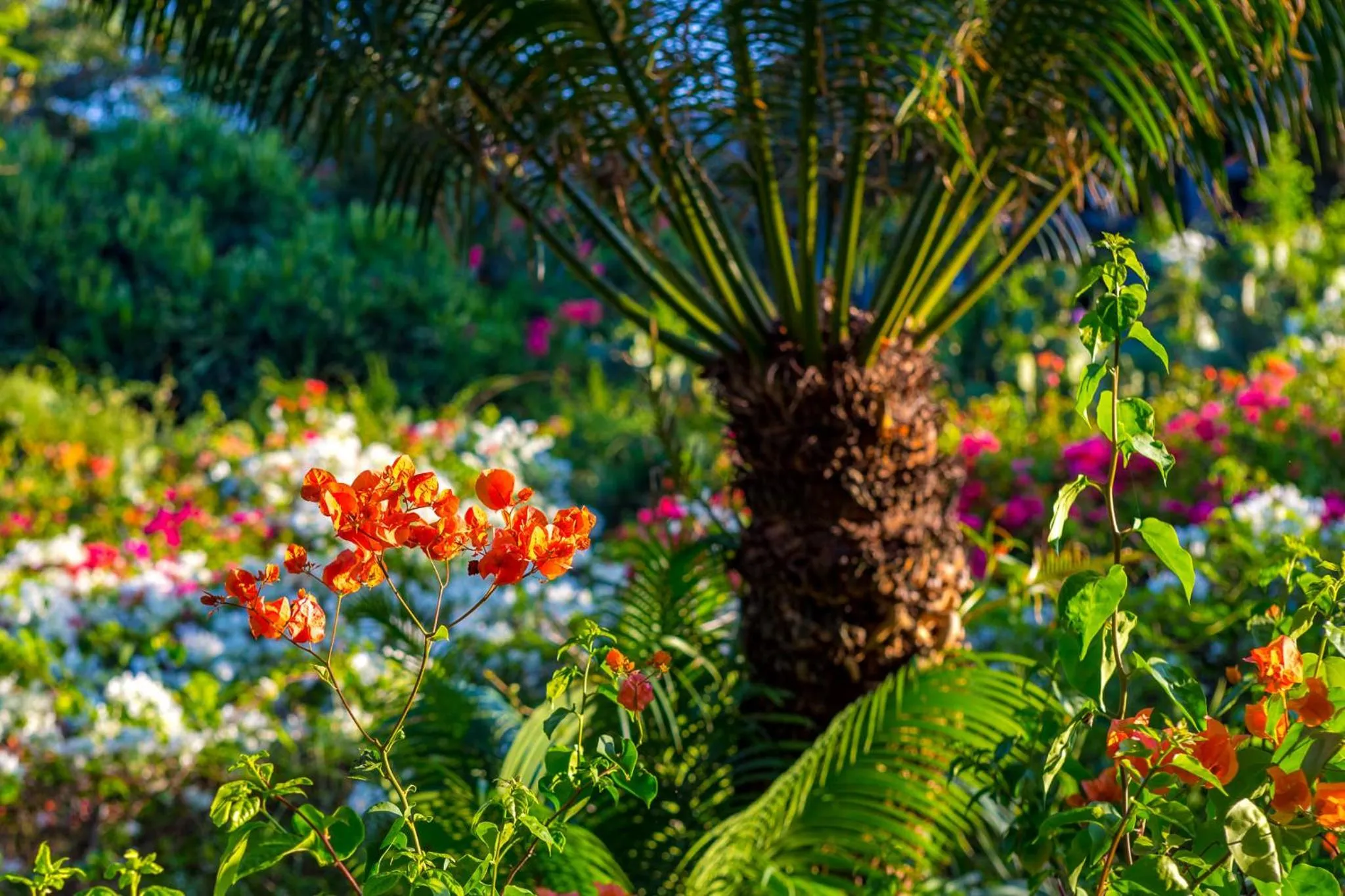 Day in Diani Sea Resort - All Inclusive