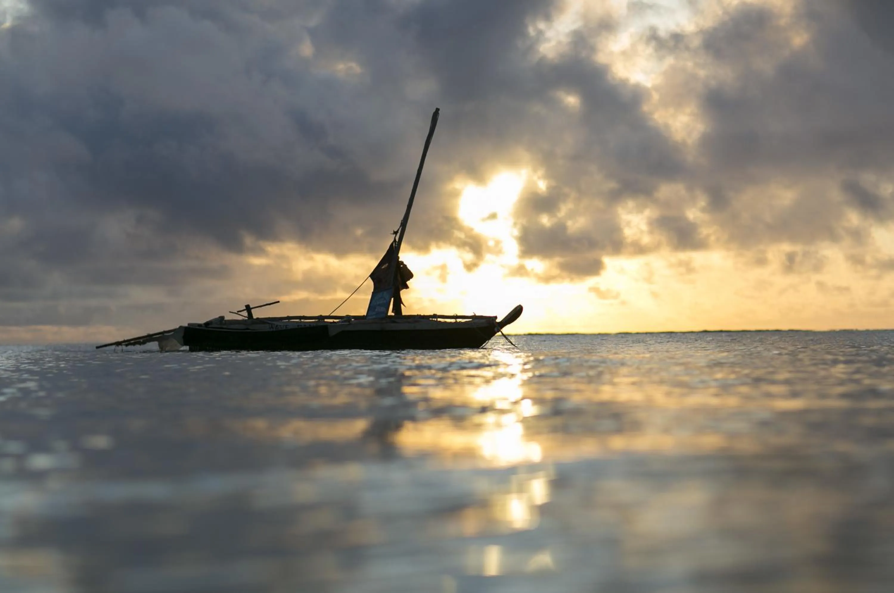 Beach in Diani Sea Resort - All Inclusive