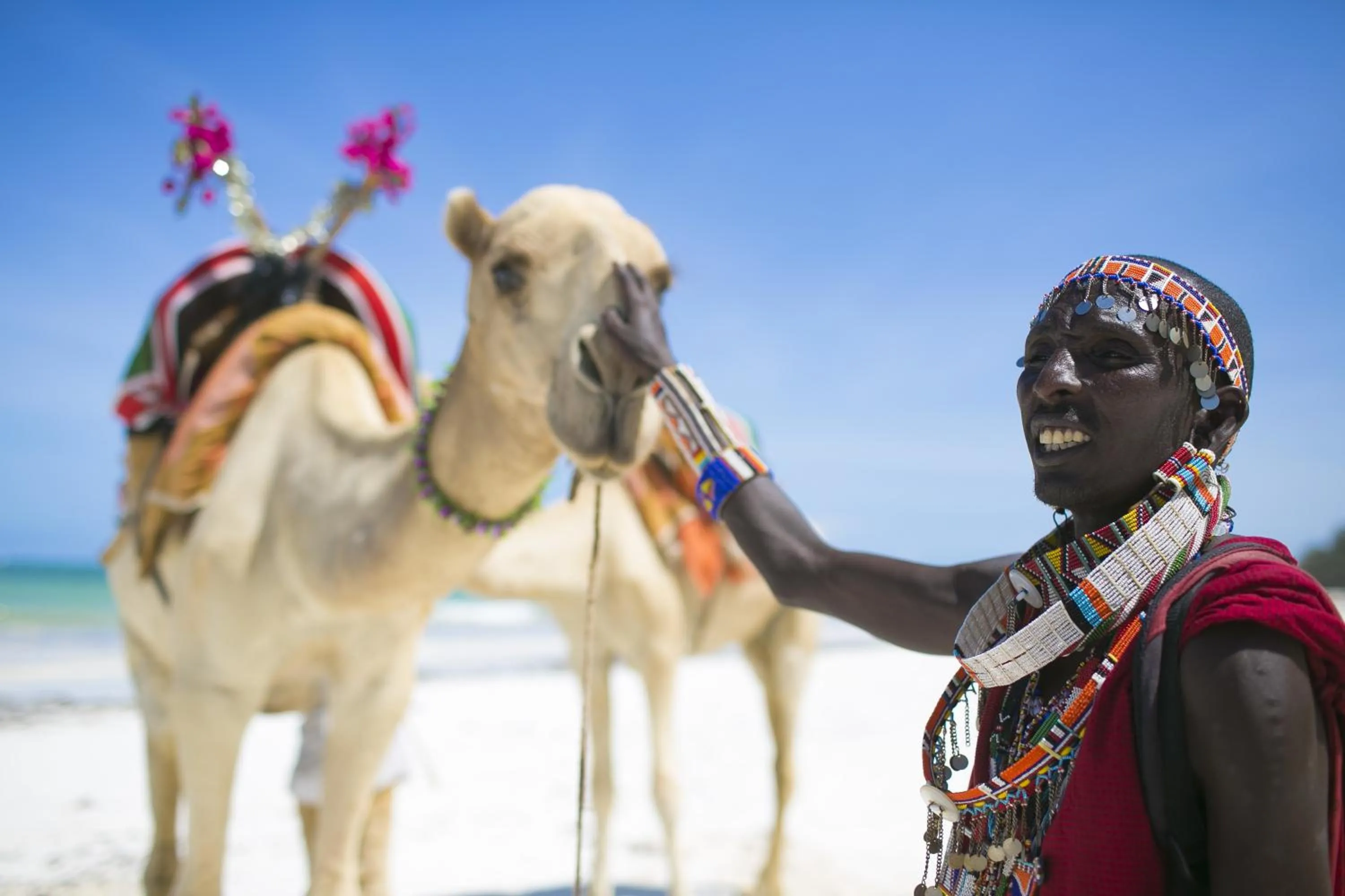 People in Diani Sea Resort - All Inclusive