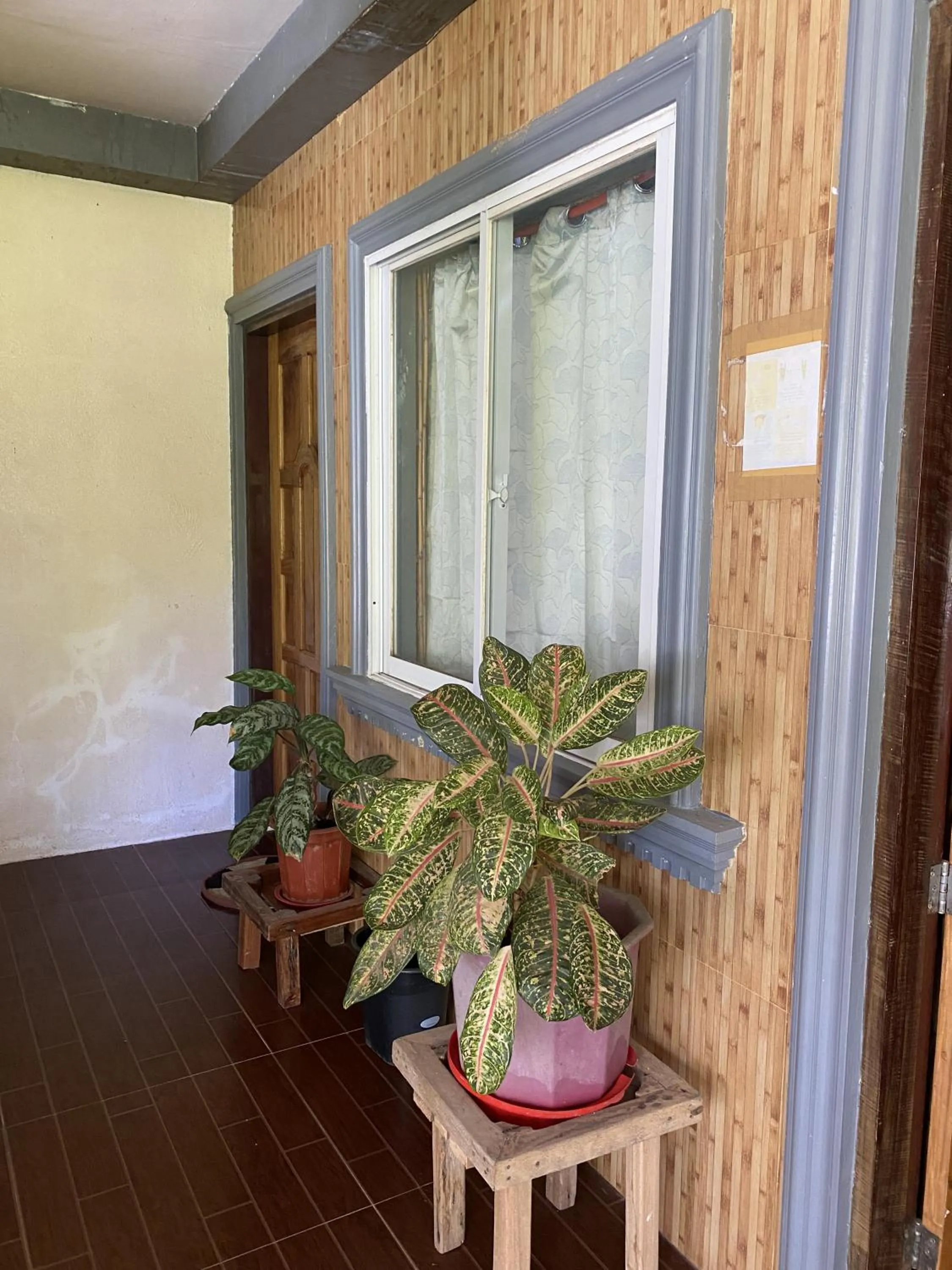 Jing's Place Homestay Siargao