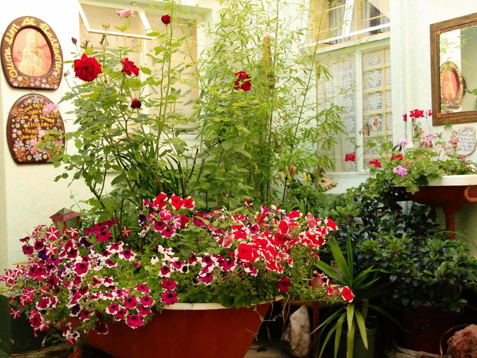 Spring in Mountain View Country Inn