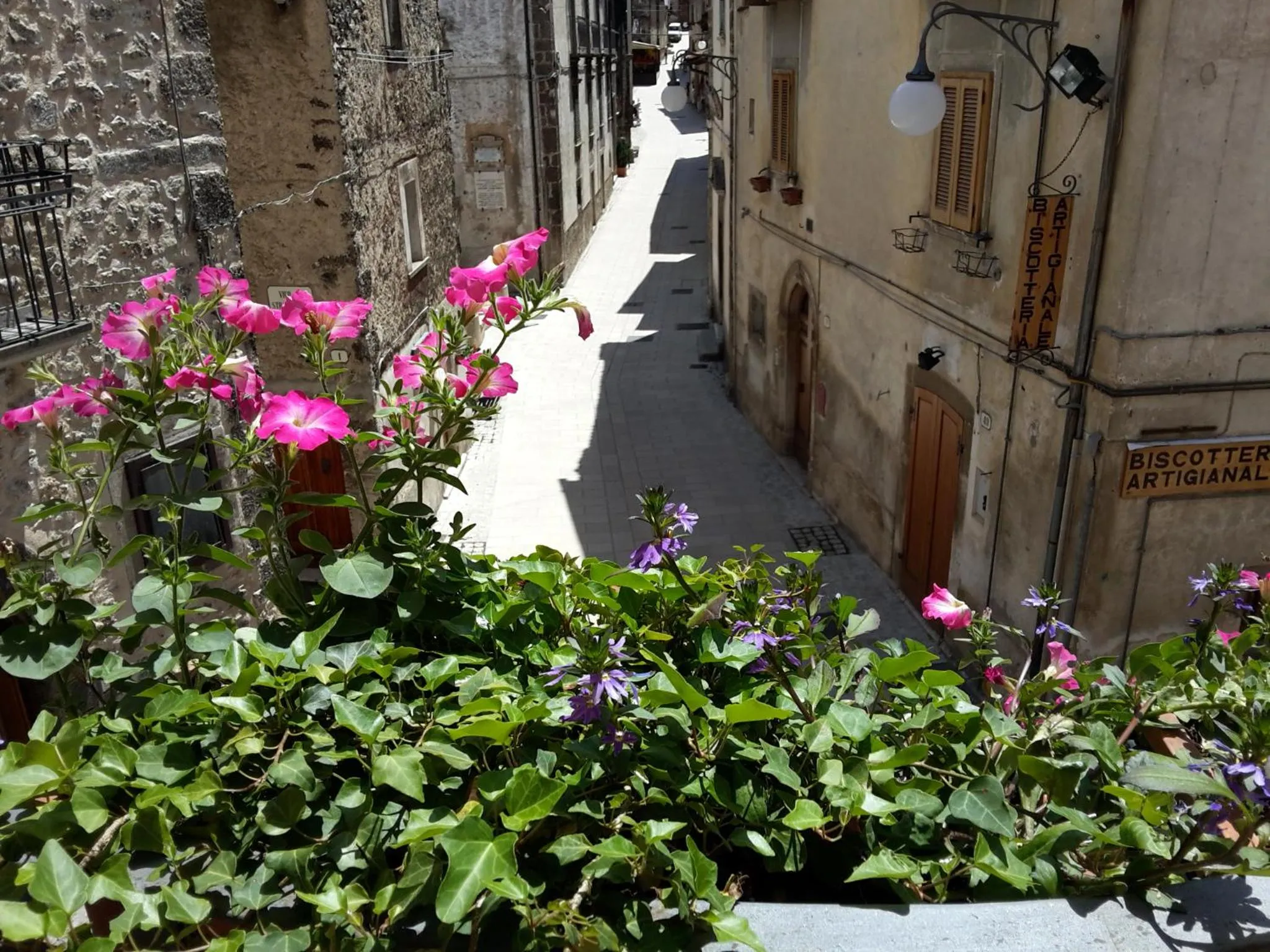 View (from property/room) in La Casa dei Nonni B&B