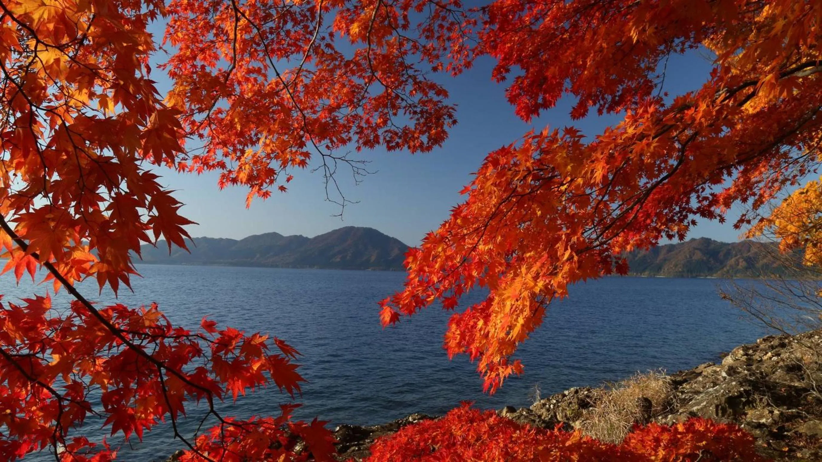 Nearby landmark in Kashintei Shirahama