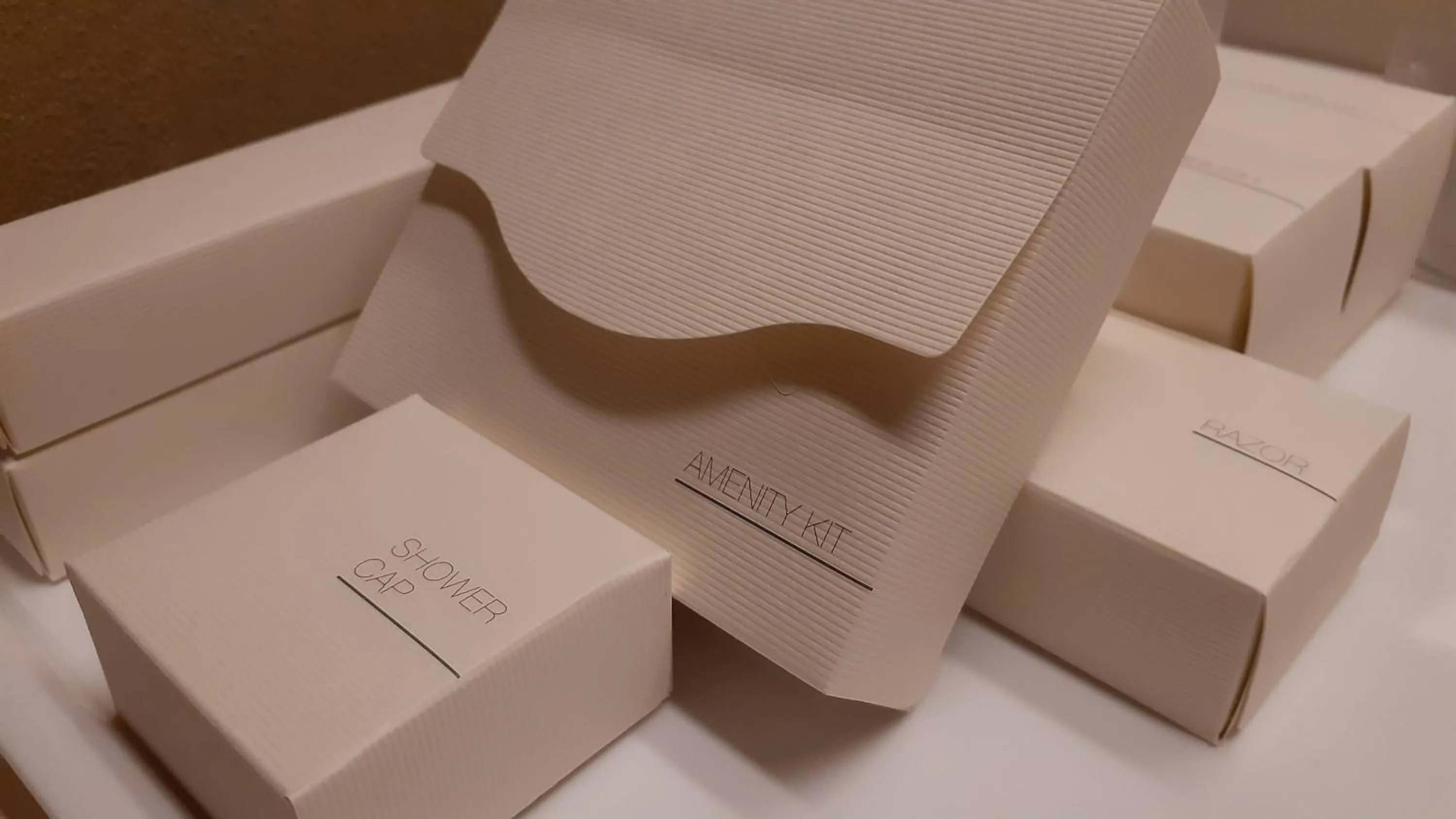 Photo of the whole room in Kashintei Shirahama