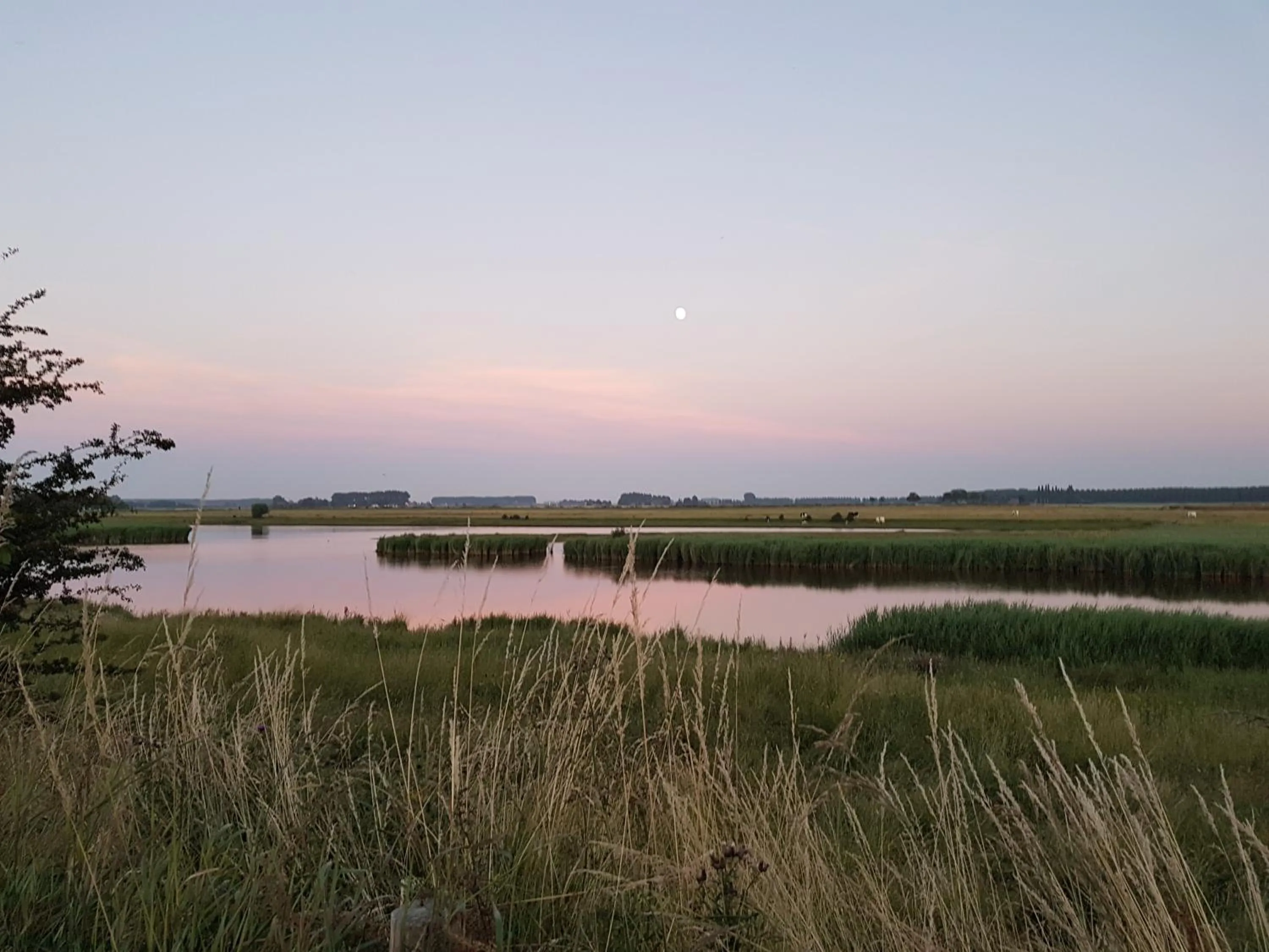 Natural landscape in De Eenhoorn