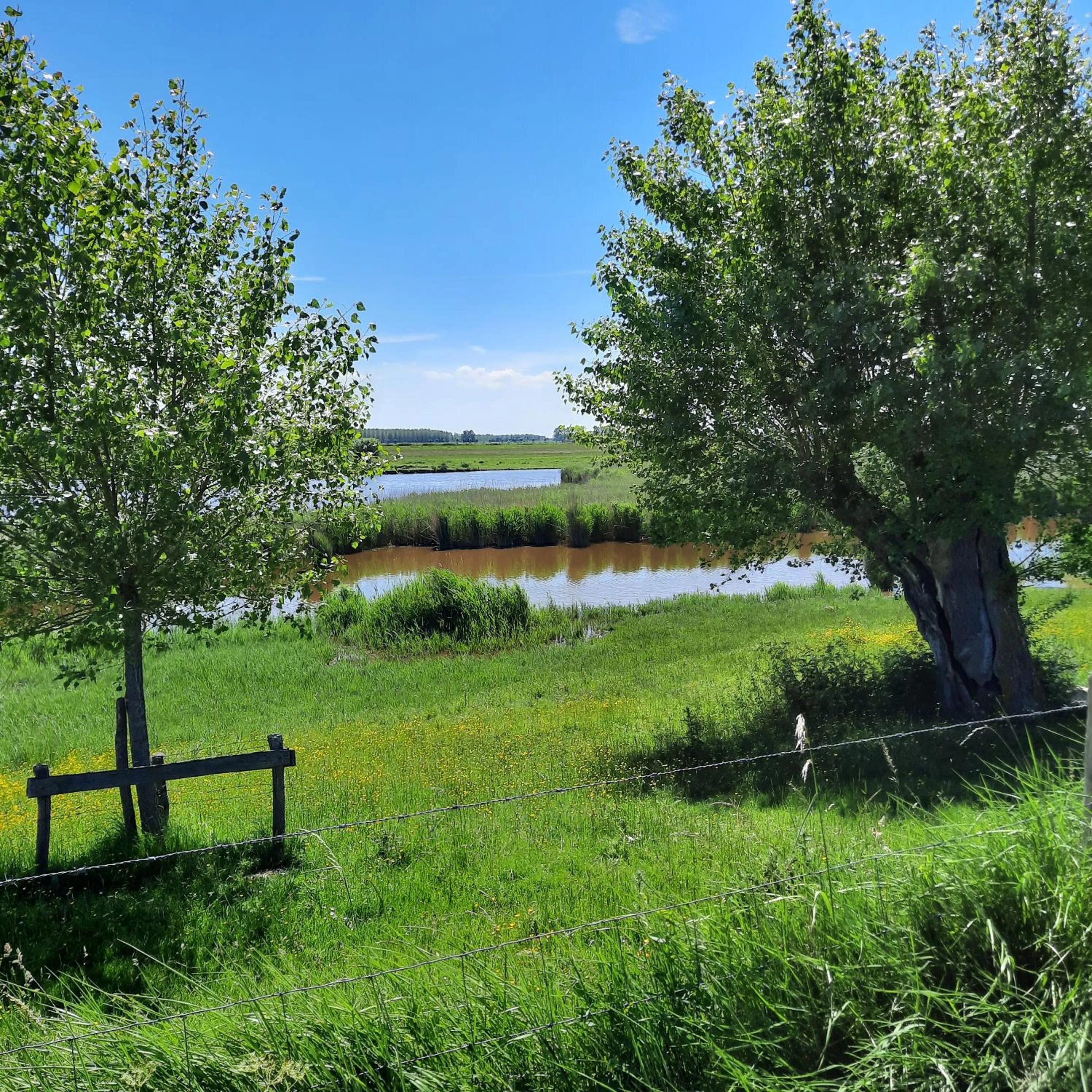 Area and facilities in De Eenhoorn