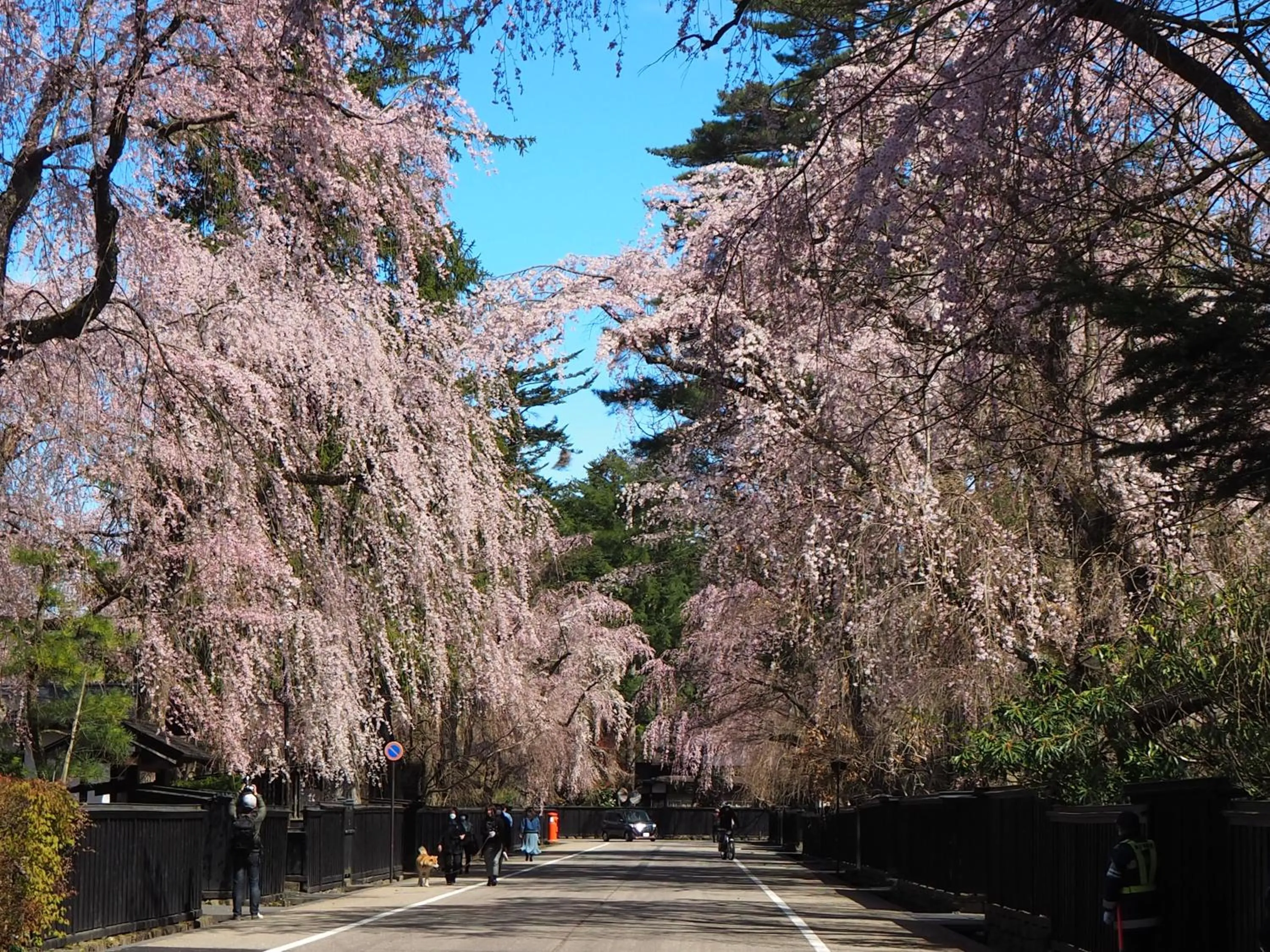 Nearby landmark in Katakurinohana