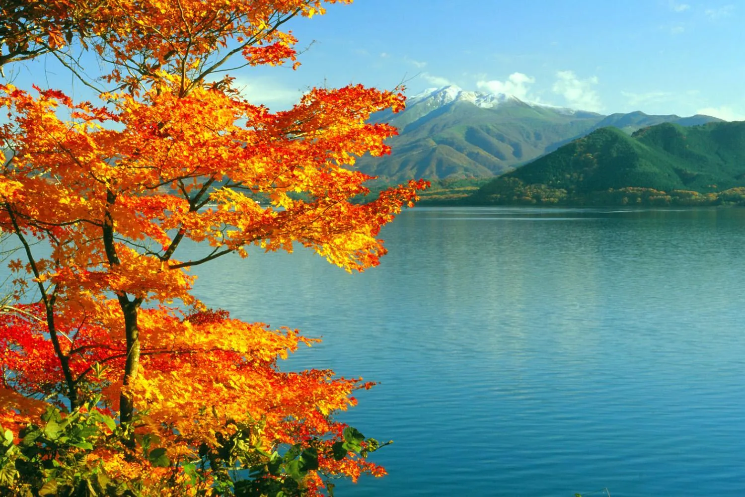 Nearby landmark in Katakurinohana