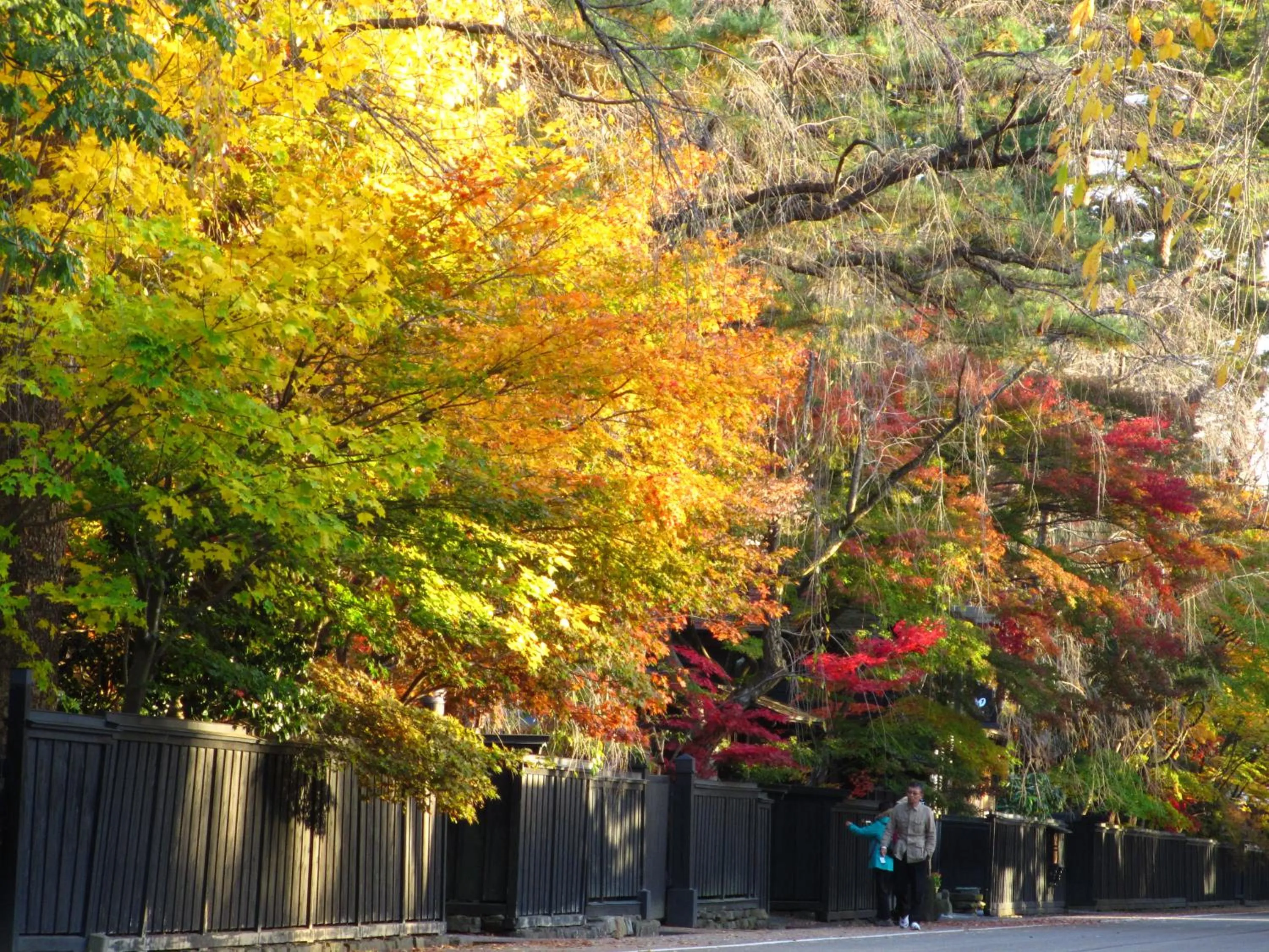 Nearby landmark in Katakurinohana