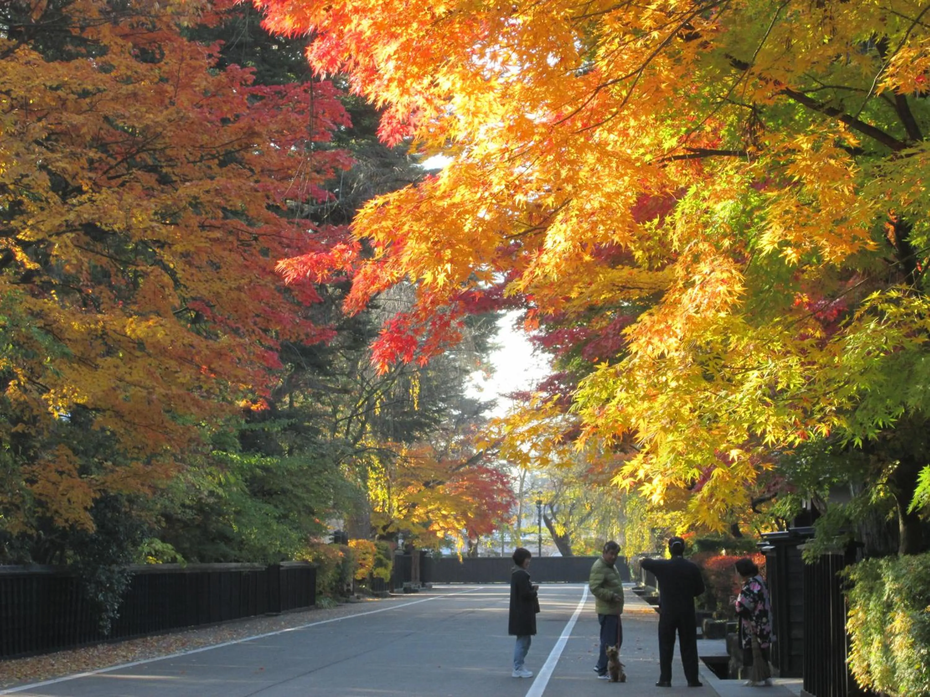 Nearby landmark in Katakurinohana