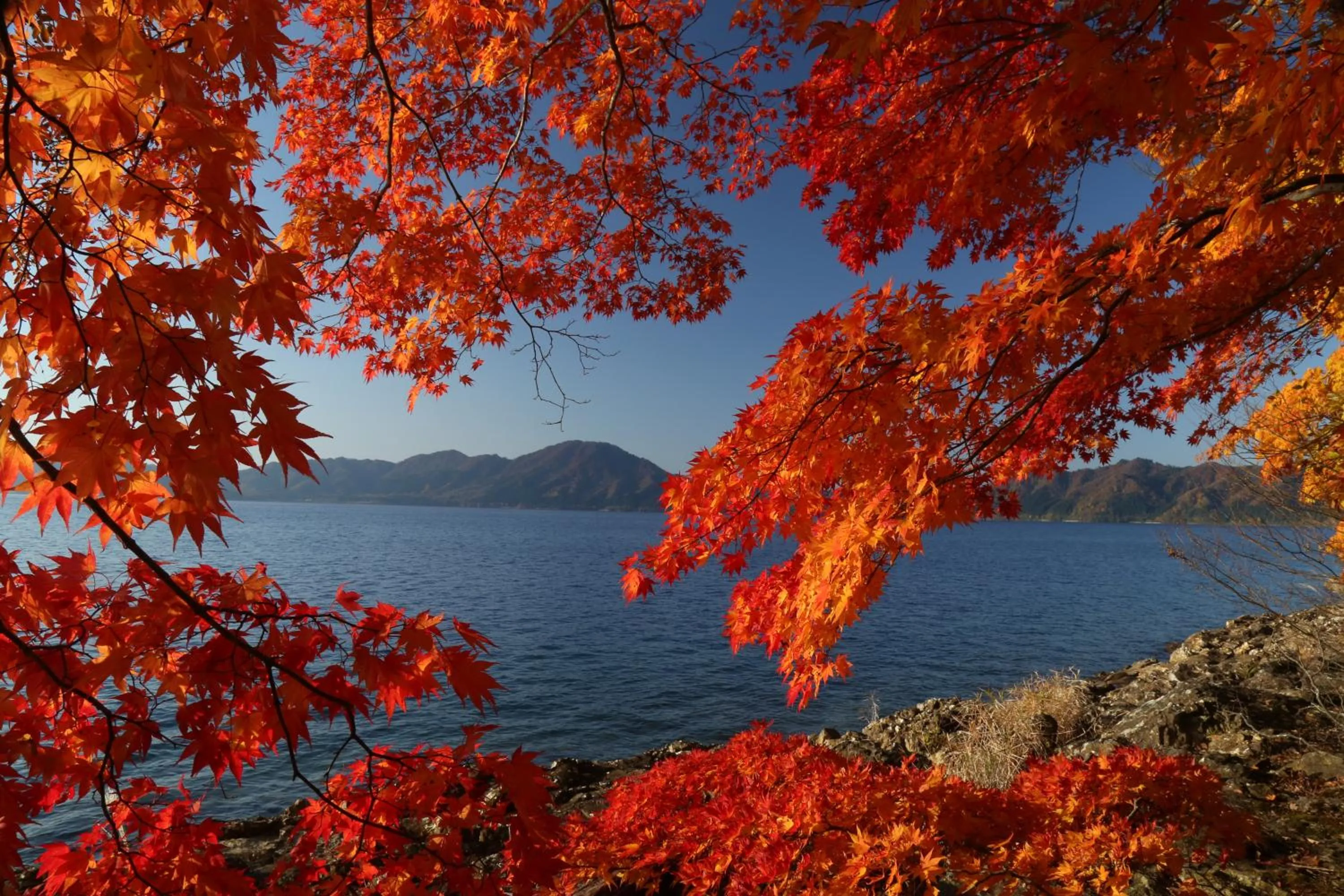 Nearby landmark in Katakurinohana