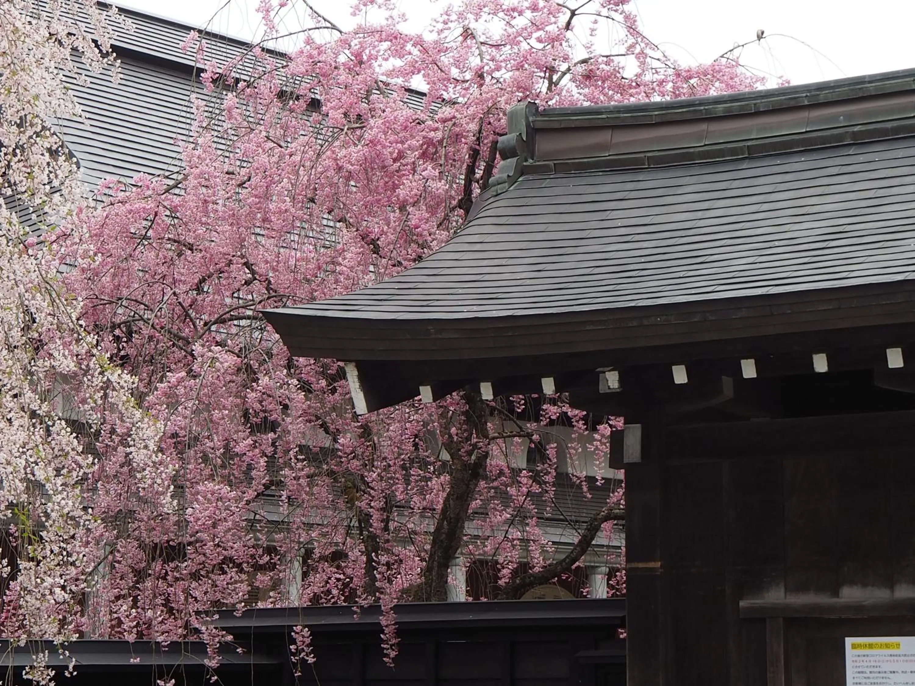 Nearby landmark in Katakurinohana