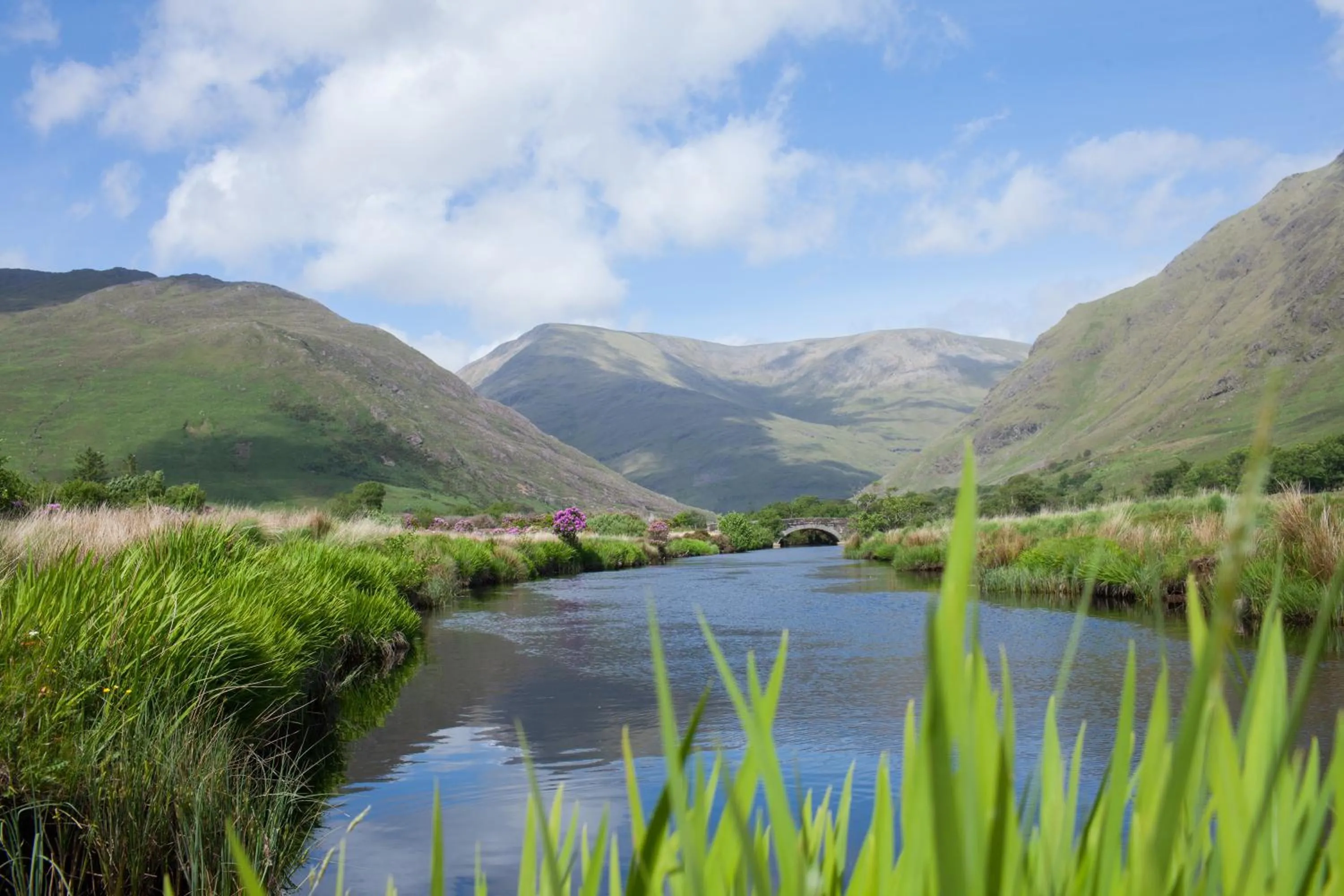 Natural landscape in Wild Atlantic Hostel