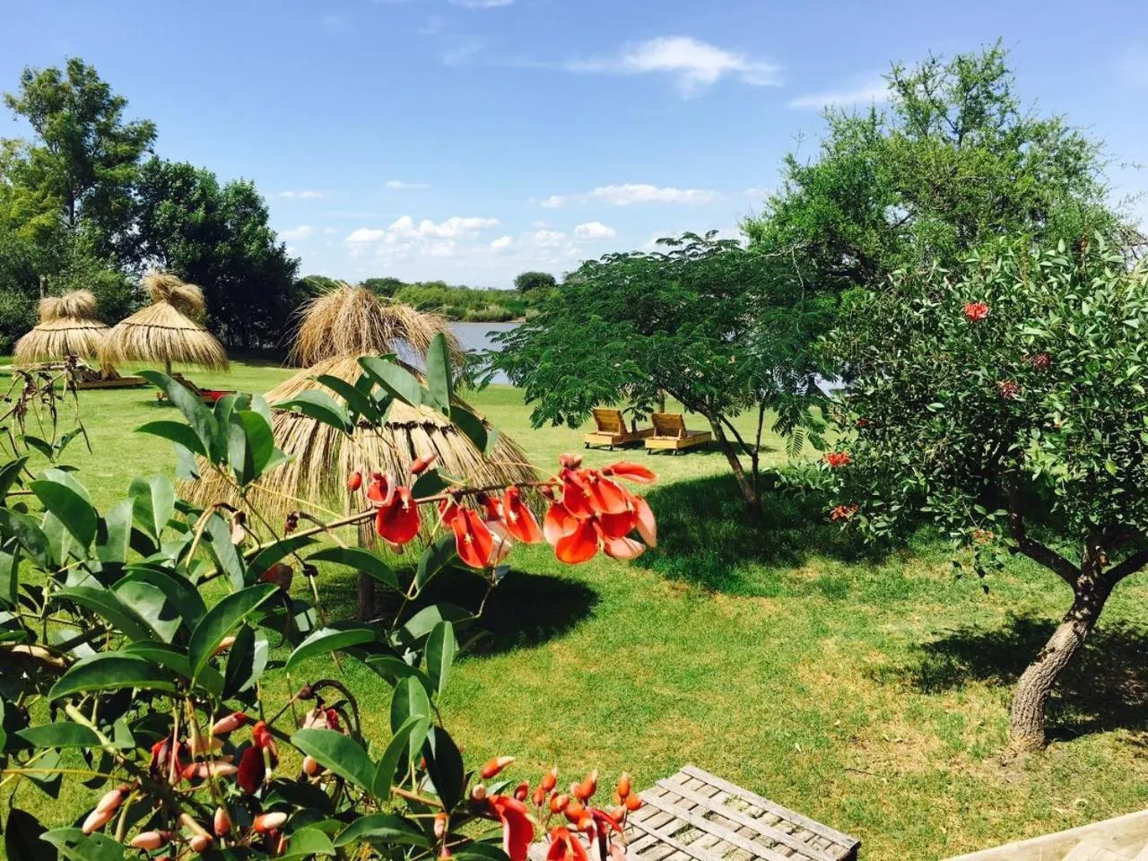 Garden in Posada Las Aguas