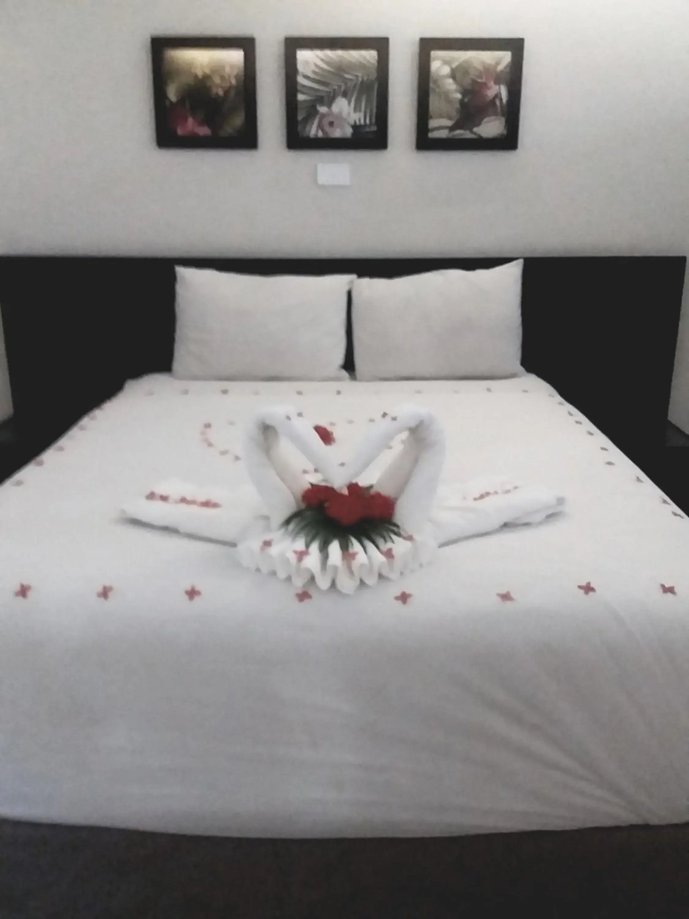 Bed in Hotel Oasis Bed in Hotel Oasis