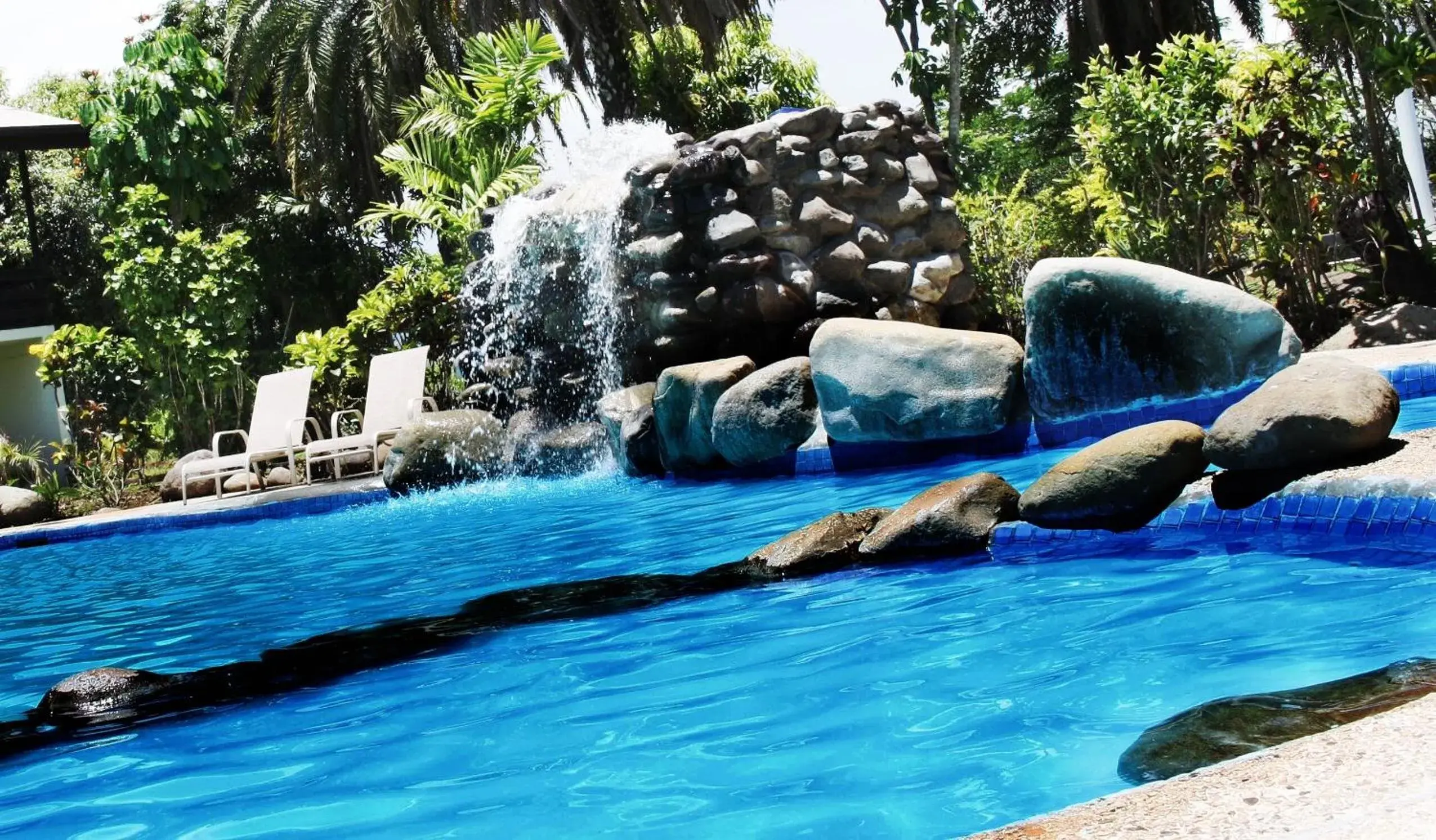 Natural landscape in Hotel Oasis Natural landscape in Hotel Oasis