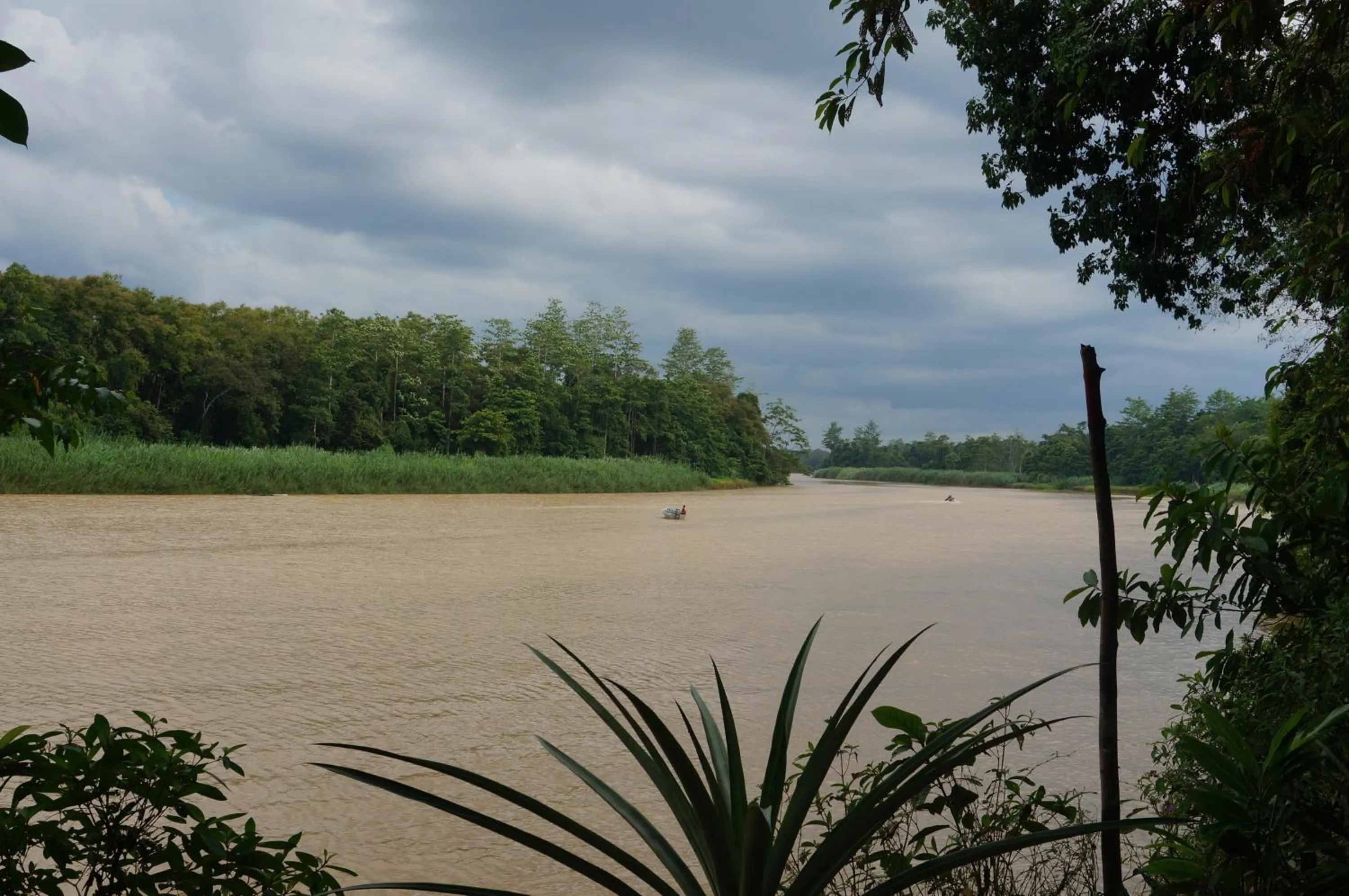 River view in Borneo Natural Sukau Bilit Resort