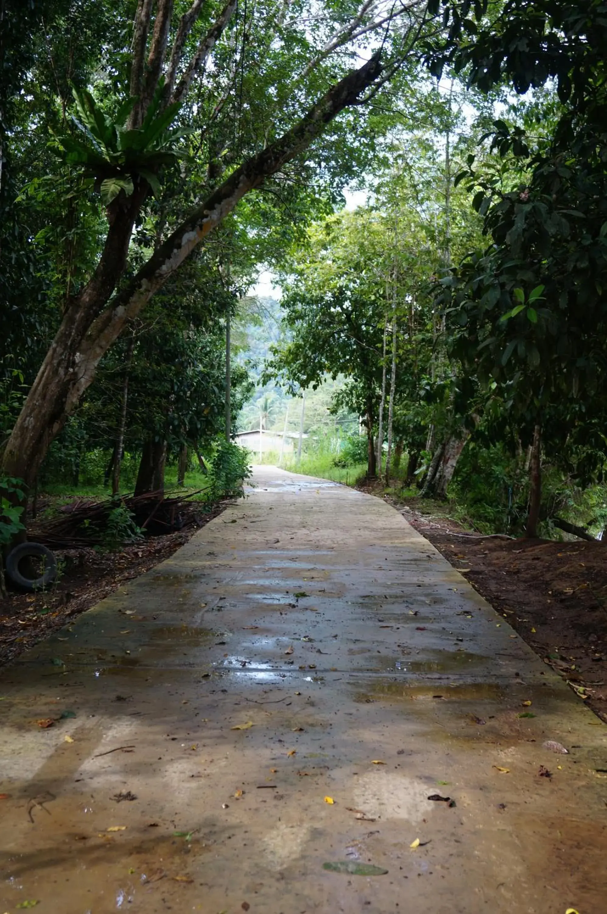 Facade/entrance in Borneo Natural Sukau Bilit Resort Facade/entrance in Borneo Natural Sukau Bilit Resort