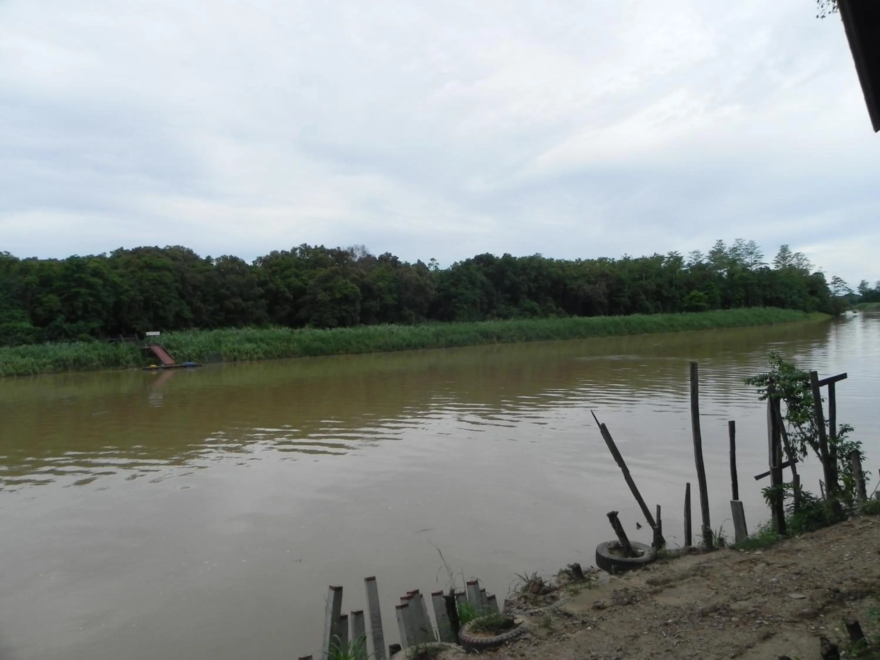 River view in Borneo Natural Sukau Bilit Resort