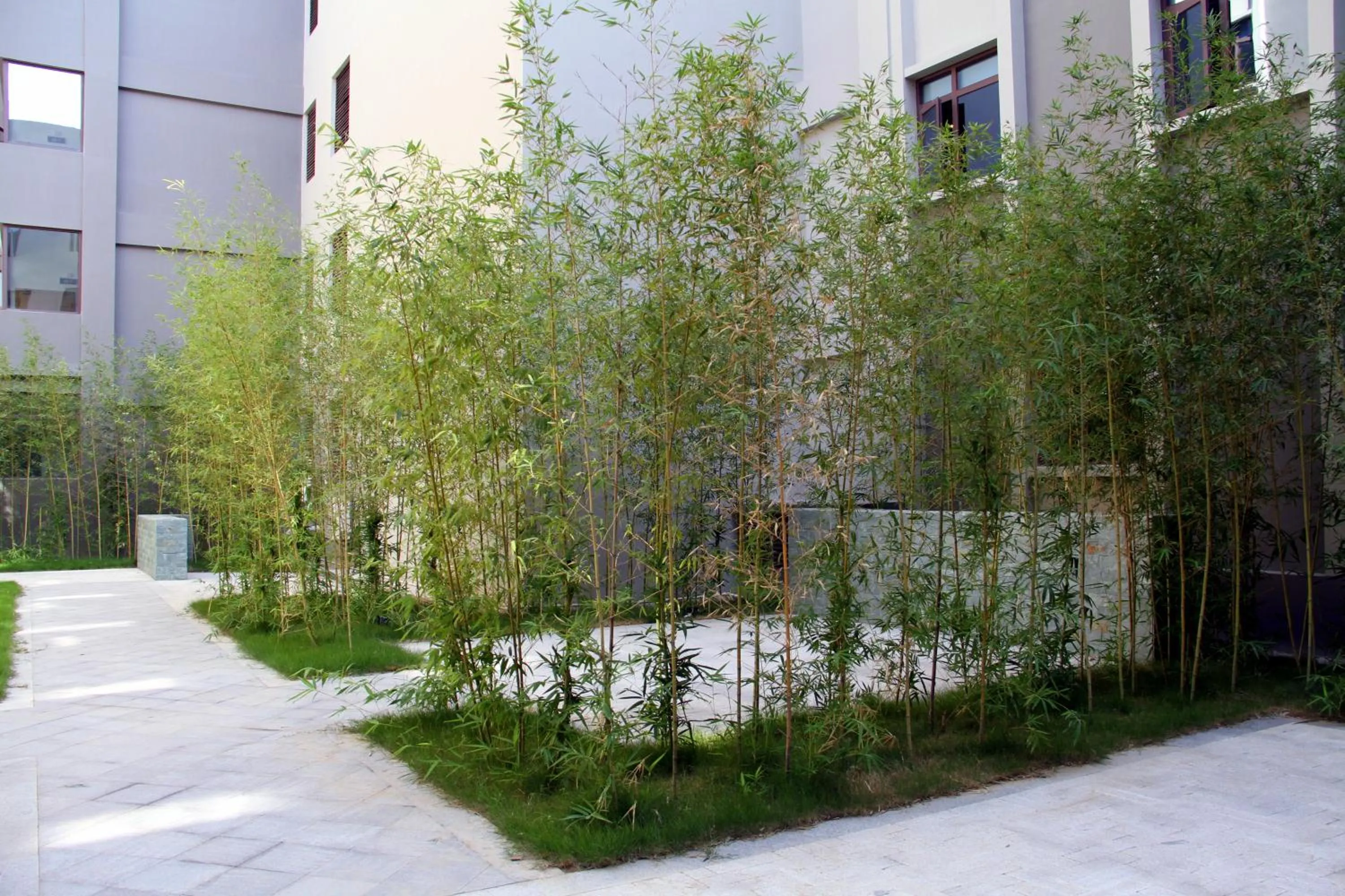 Patio in Yiho Hotel Xiamen Huli