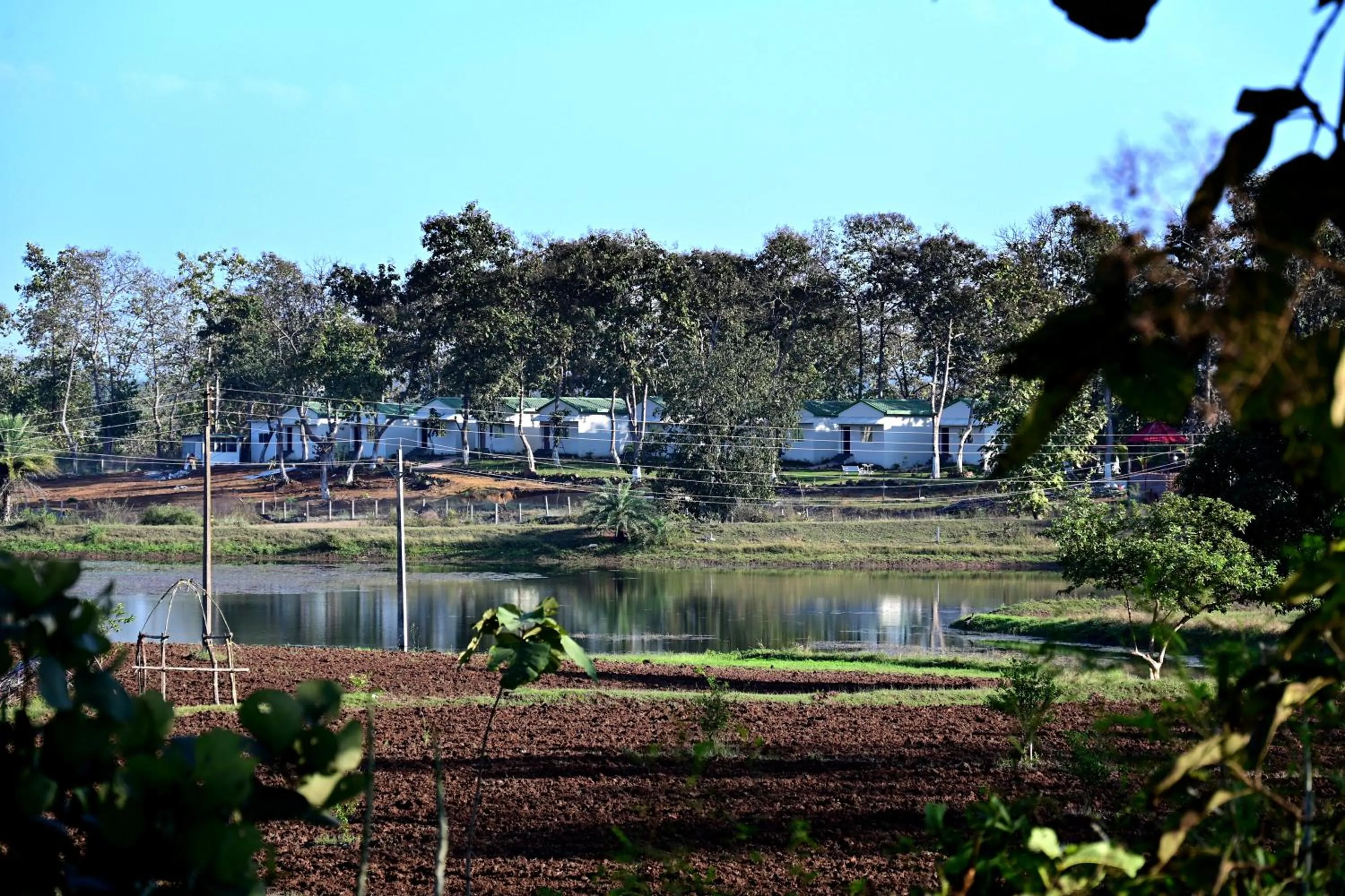 Natural landscape in The Golden Woods Resort
