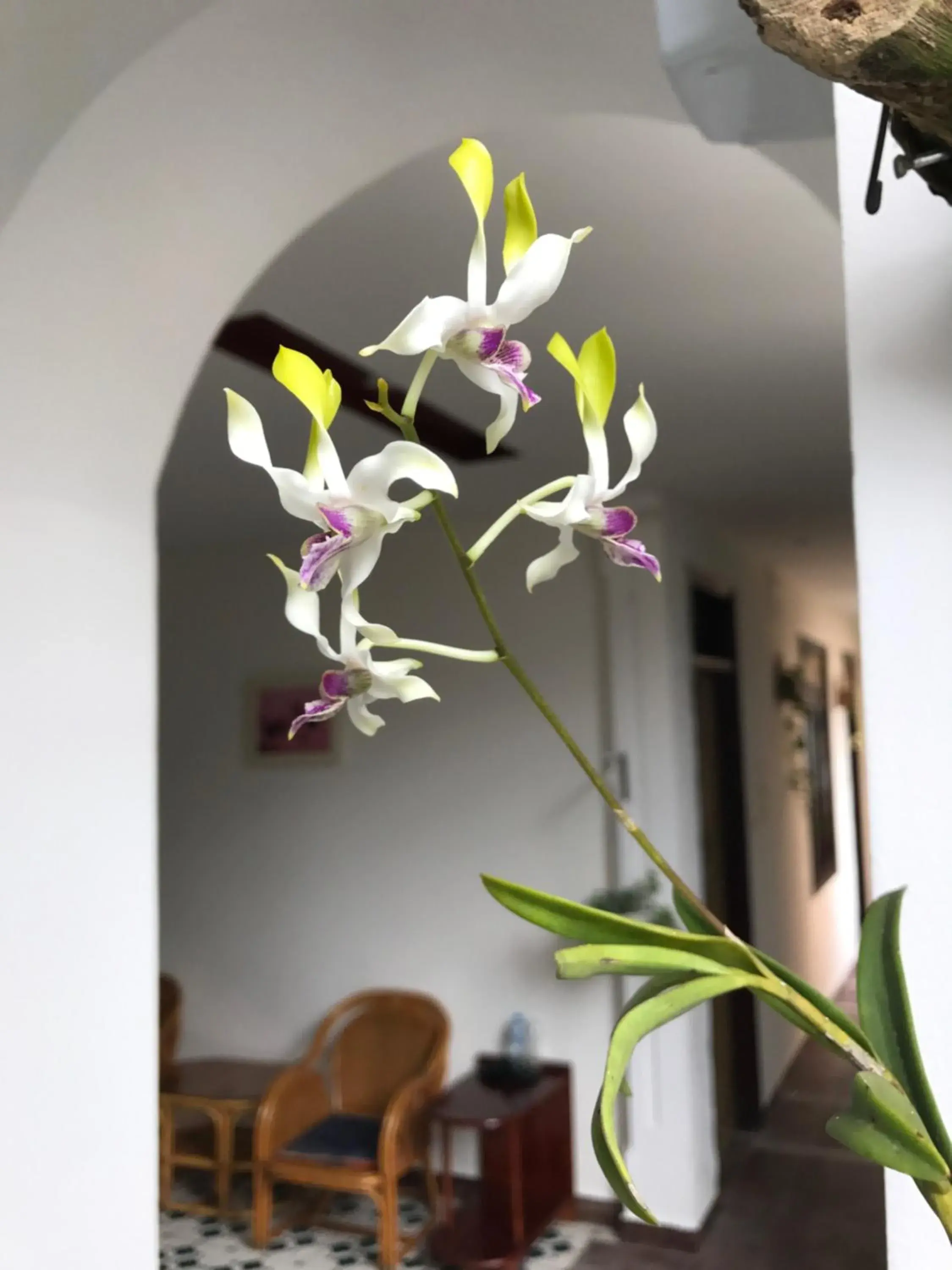 Lobby or reception in Sunny A Hotel Lobby or reception in Sunny A Hotel