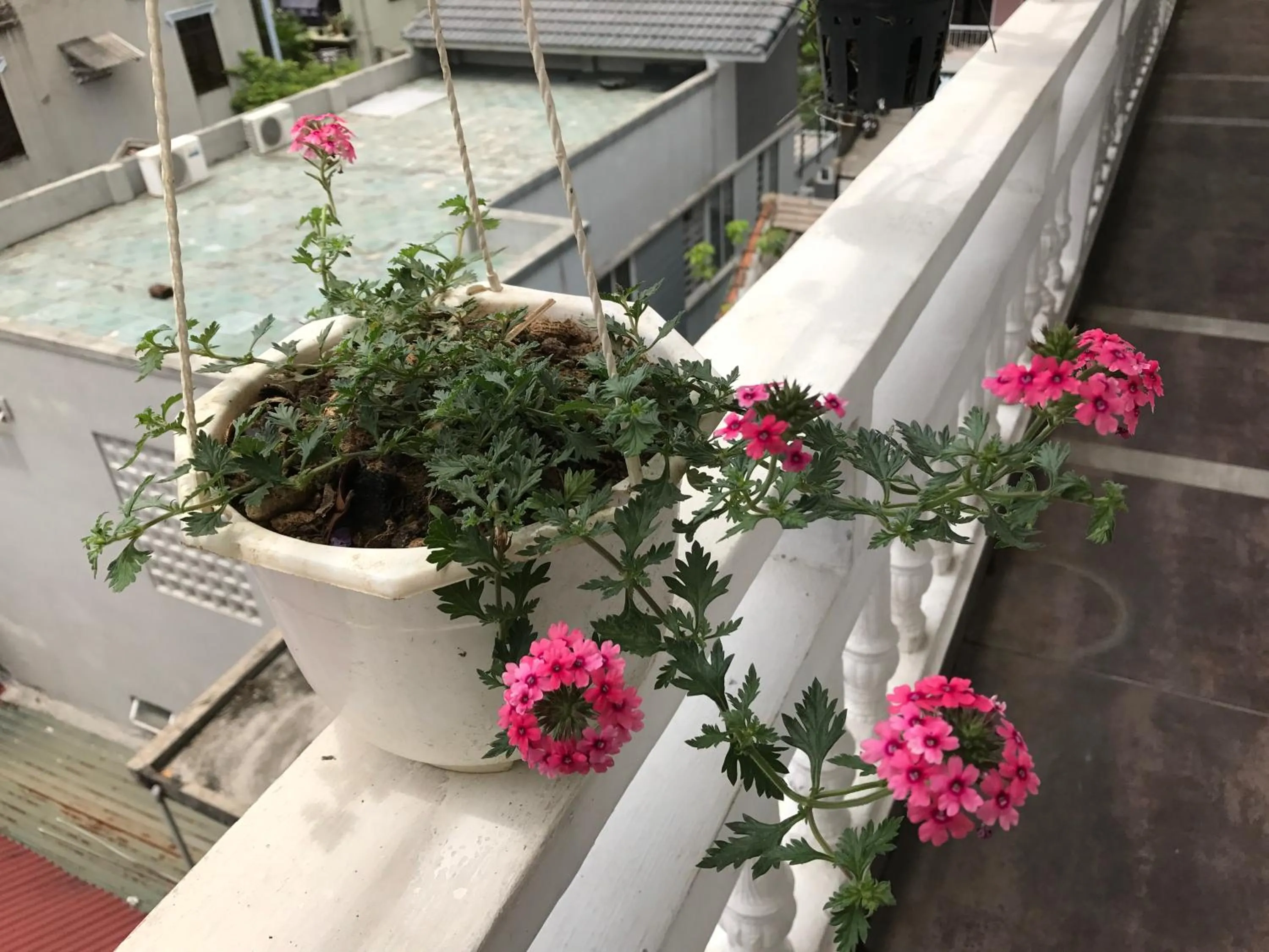 Other in Sunny A Hotel